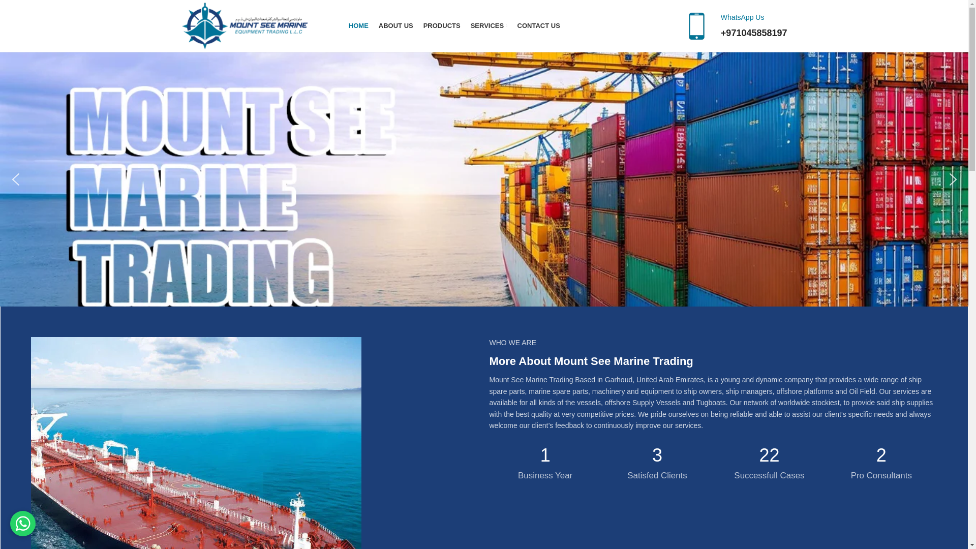 website screenshot of https://mountseemarine.com/