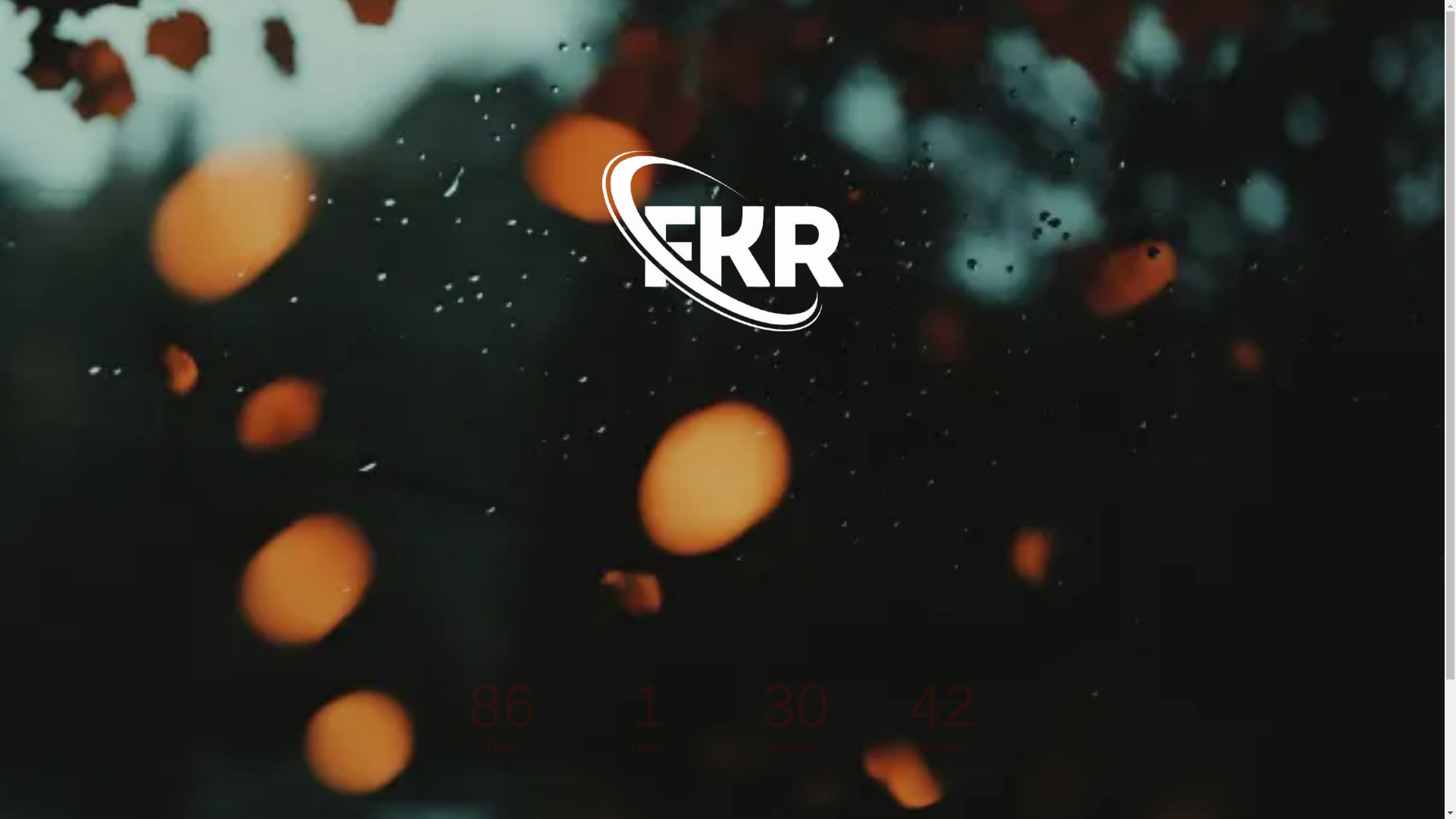 website screenshot of https://ferozrakin.com/