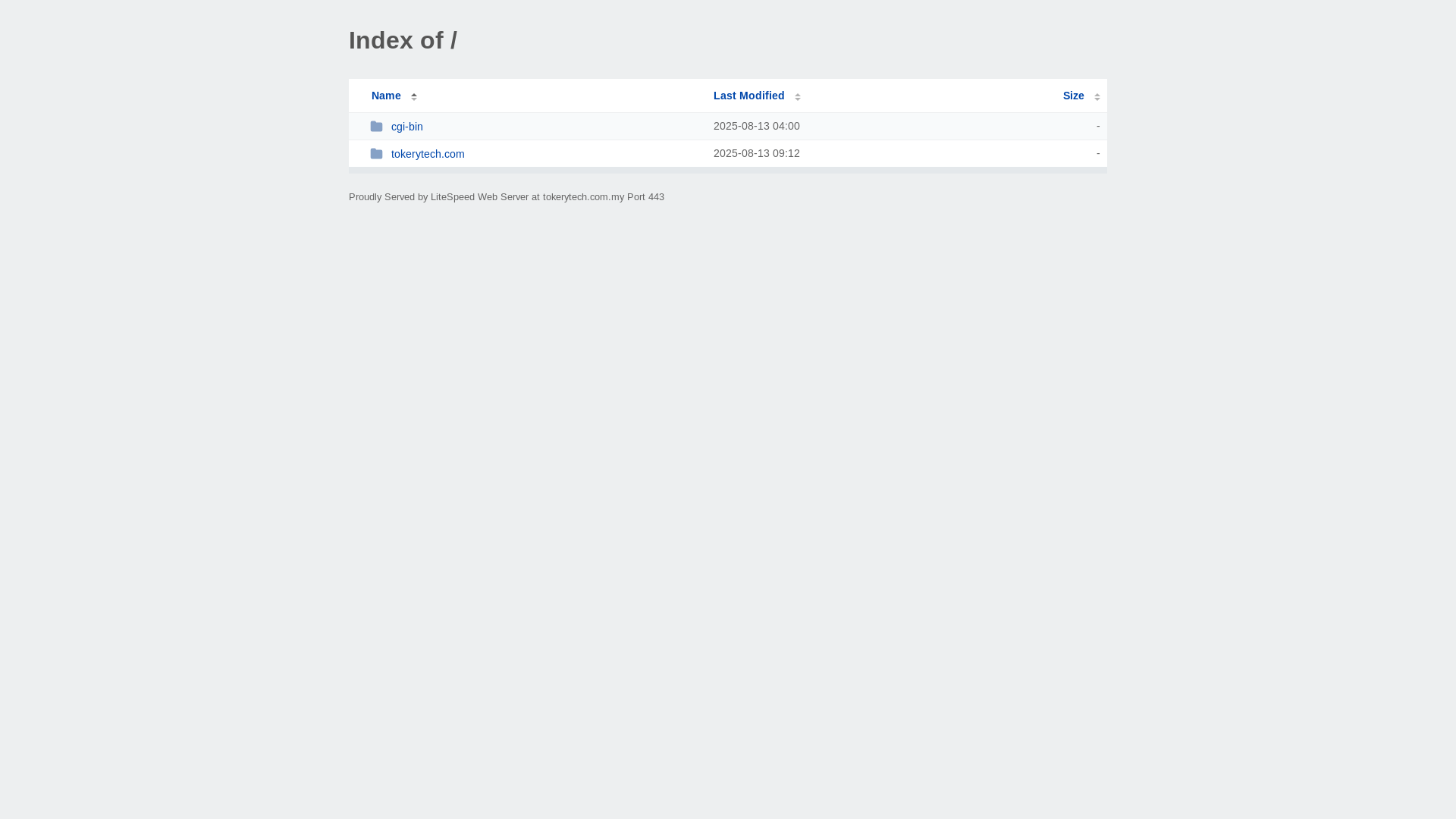 website screenshot of https://tokerytech.com.my/