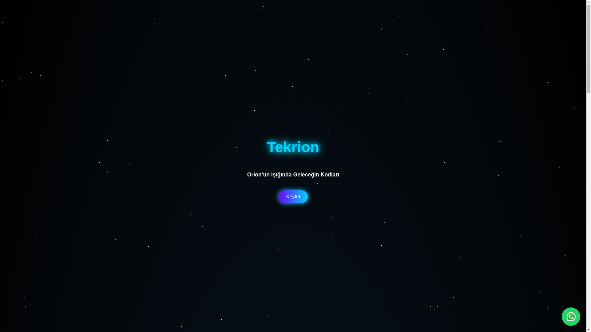 website screenshot of https://tekrion.com.tr/