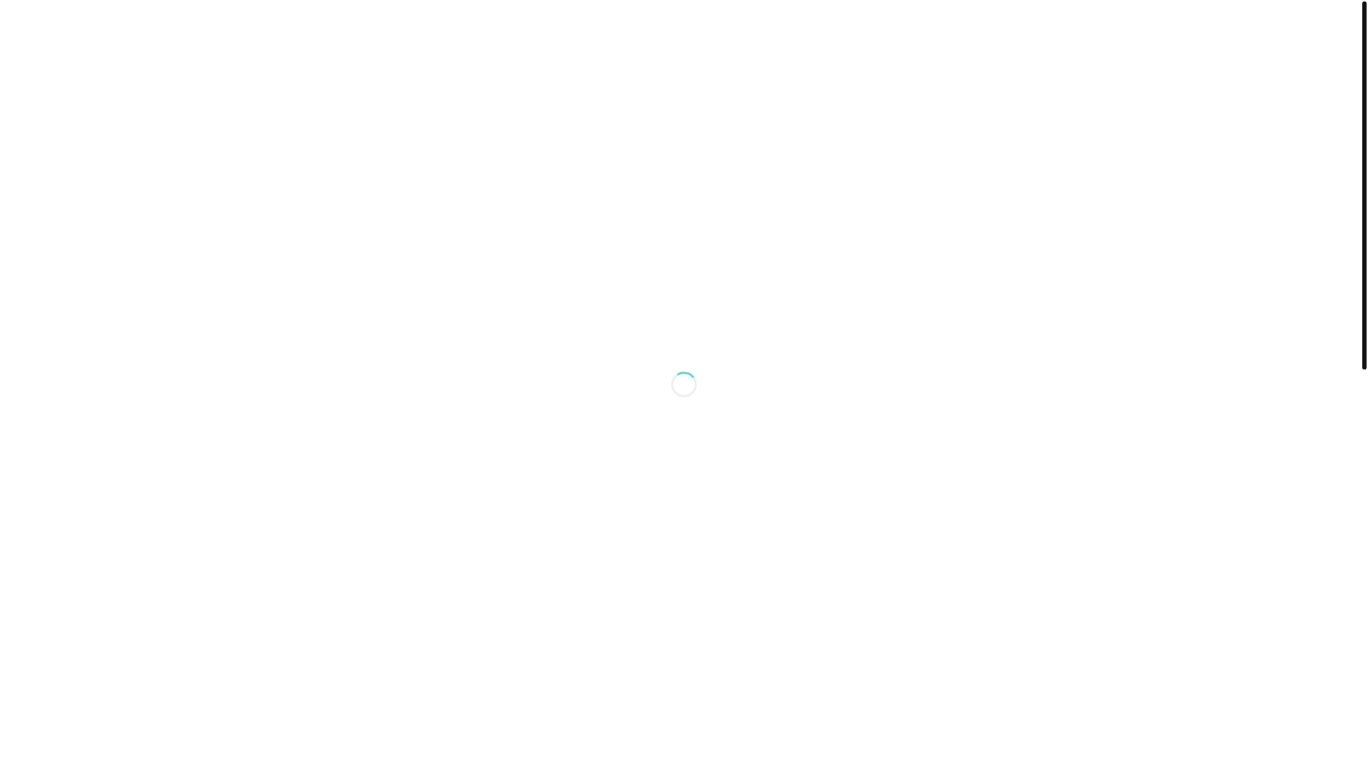 website screenshot of https://danafashion1.com/