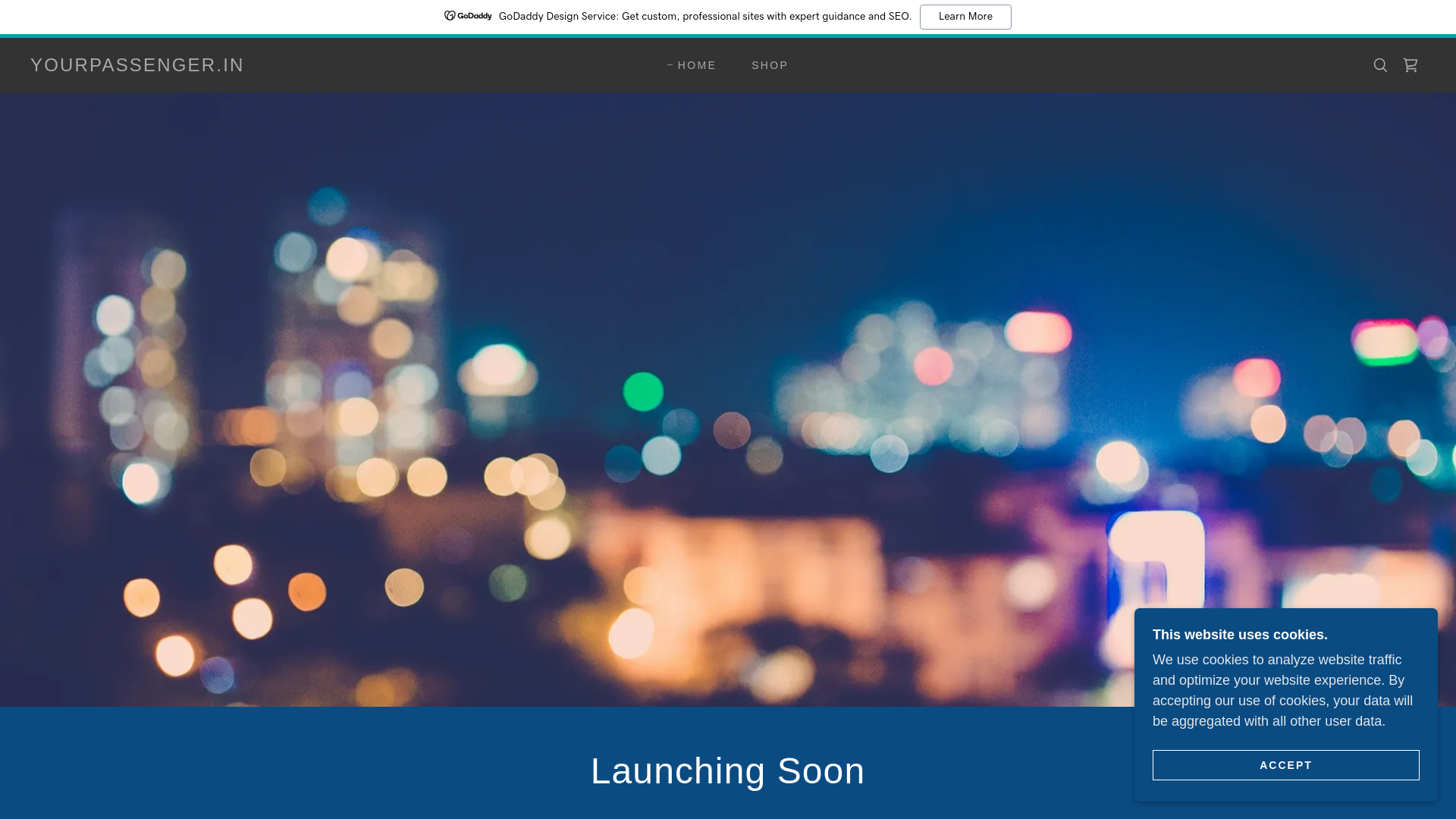 website screenshot of https://yourpassenger.in/