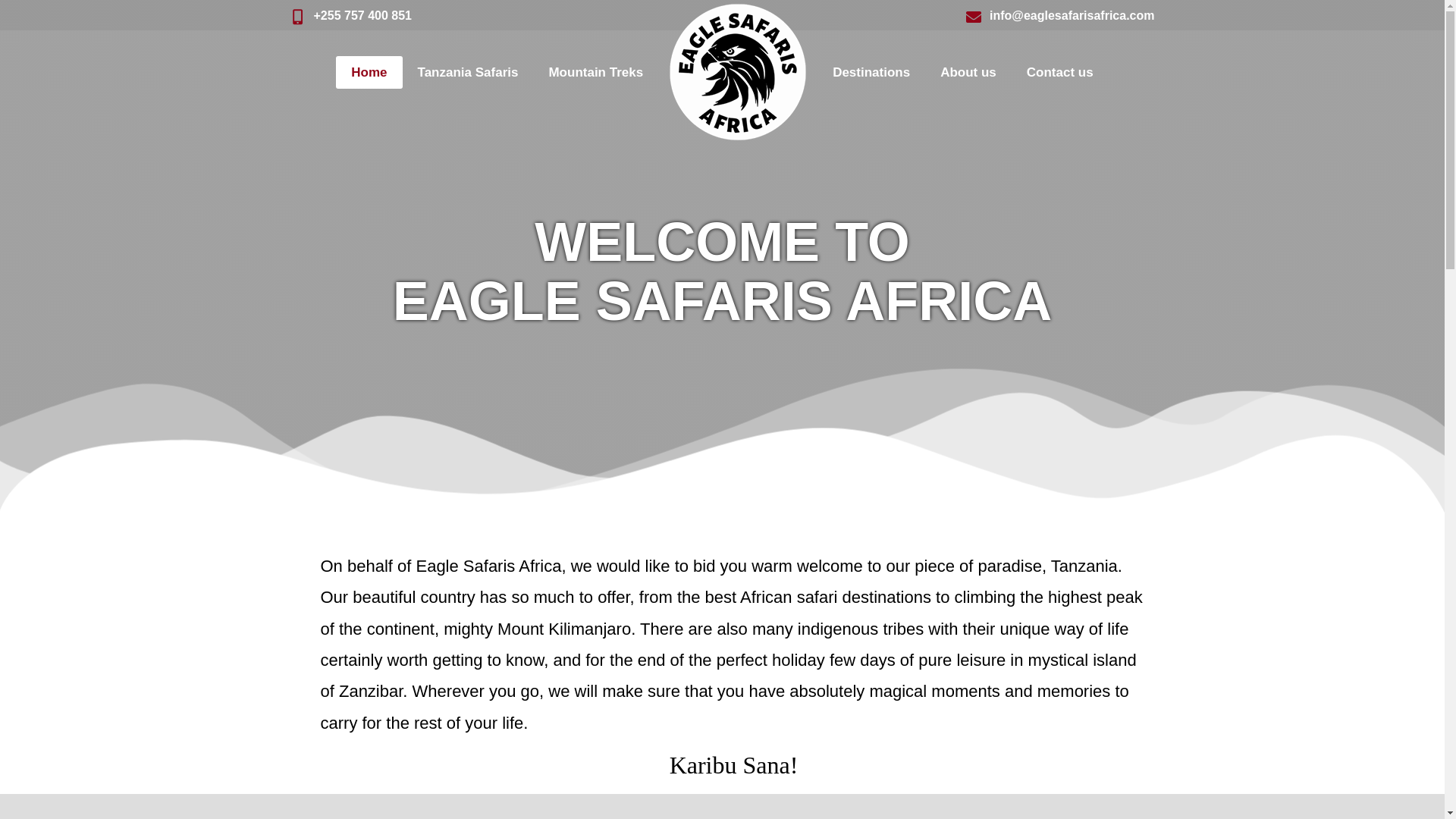website screenshot of https://kiliearthsafarisltd.com/
