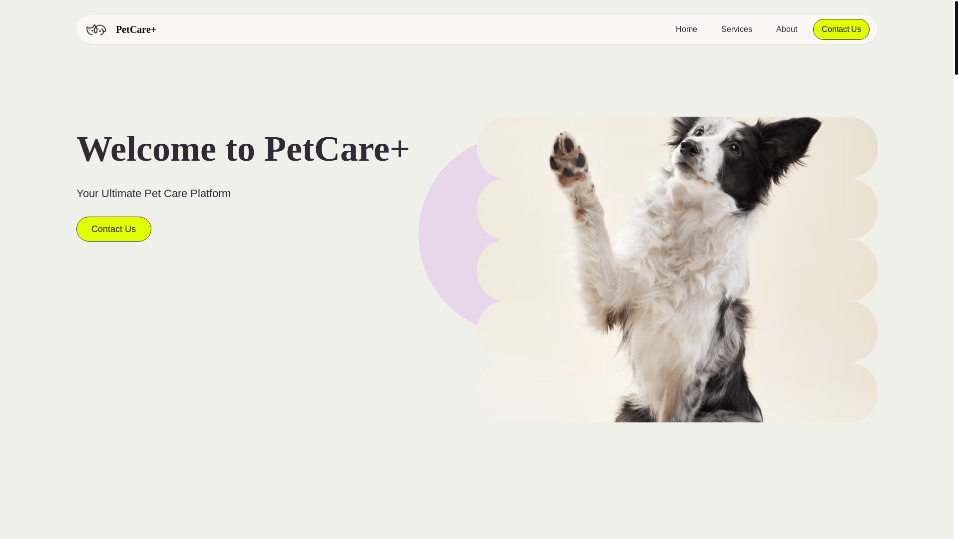 website screenshot of https://apetapp-website.pages.dev/