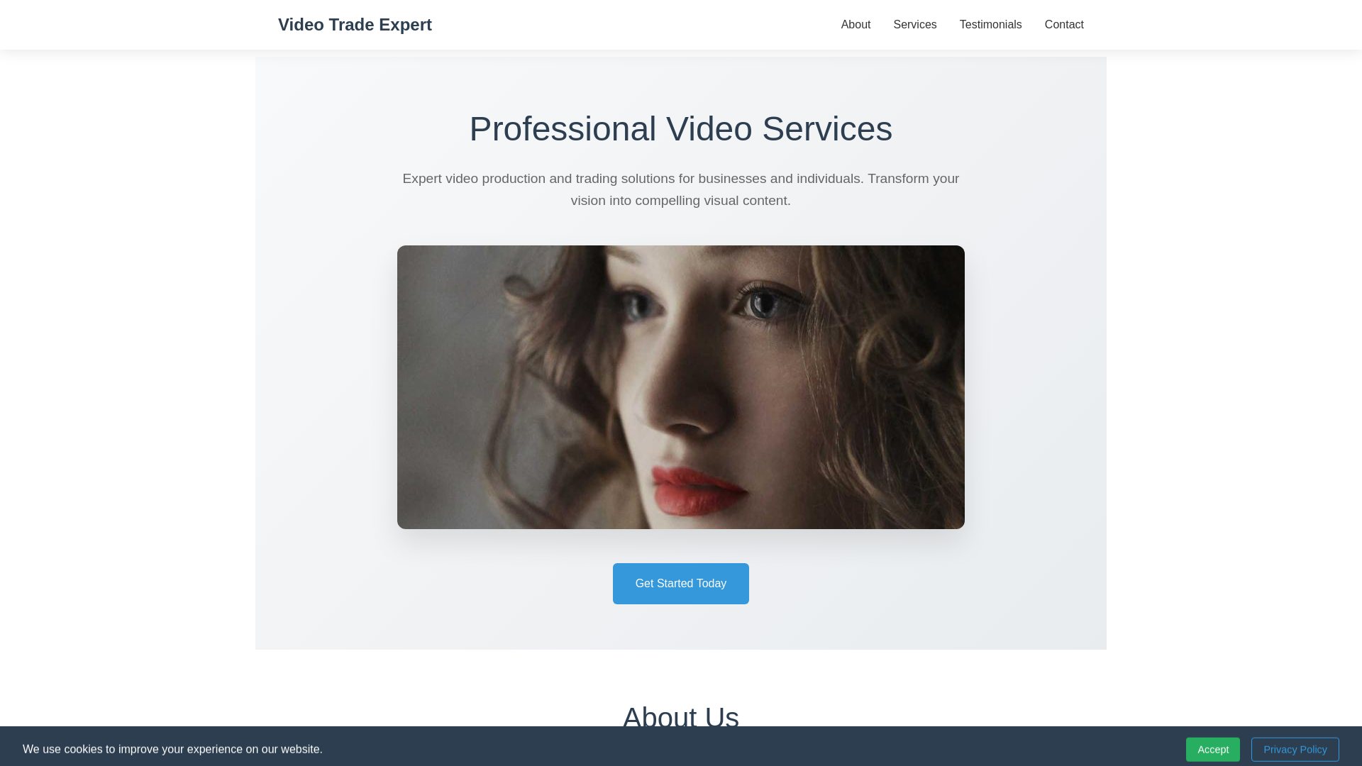 website screenshot of https://videotradeexpert.shop