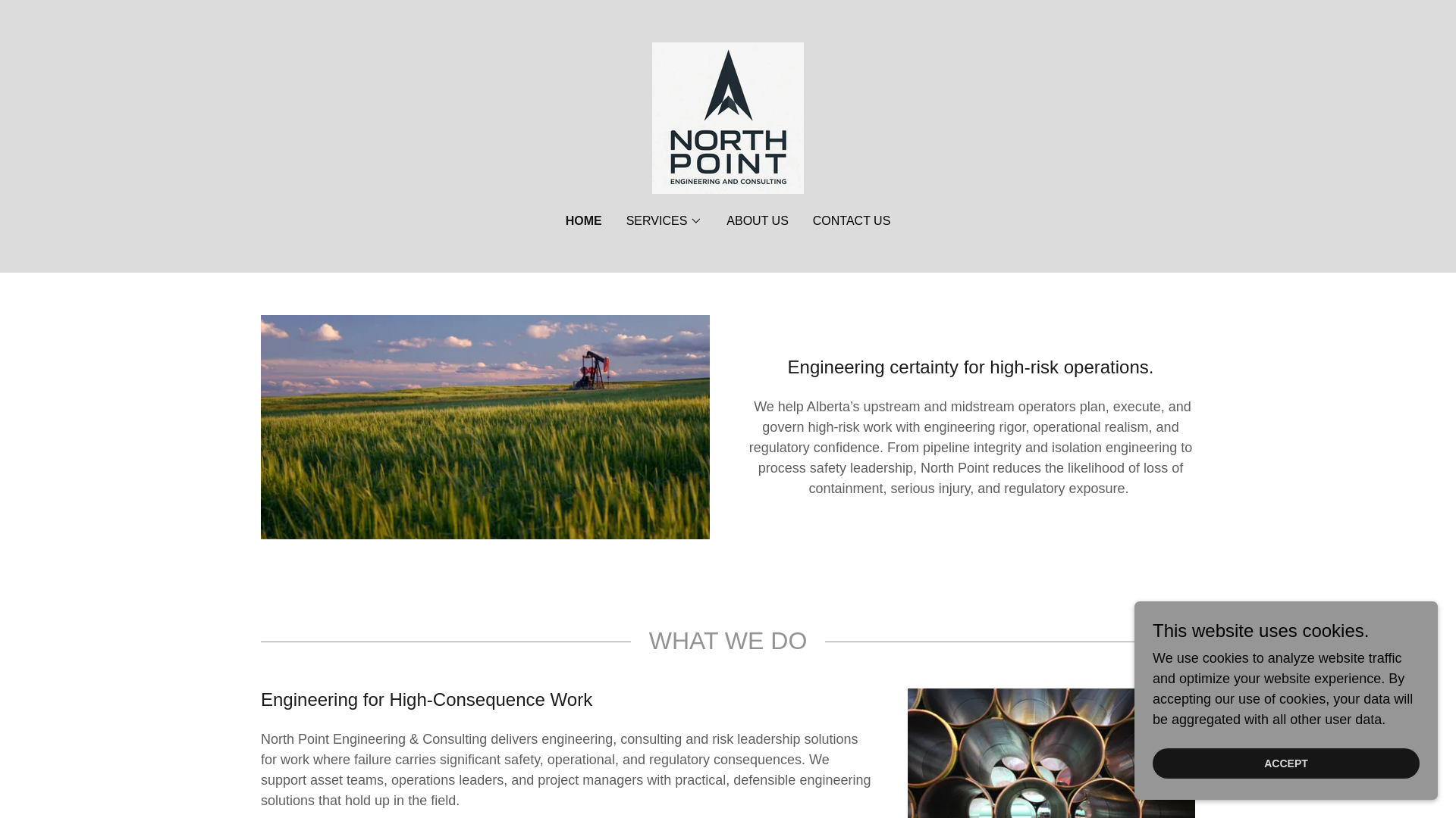 website screenshot of https://npointeng.com