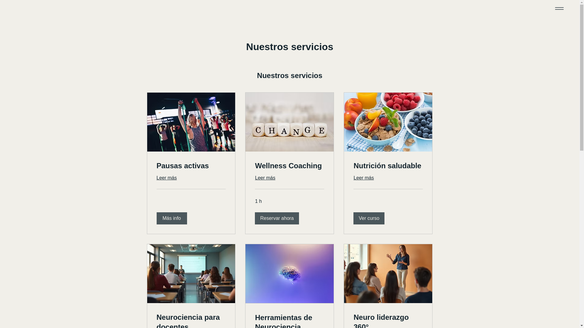 website screenshot of https://akanwellness.cl/