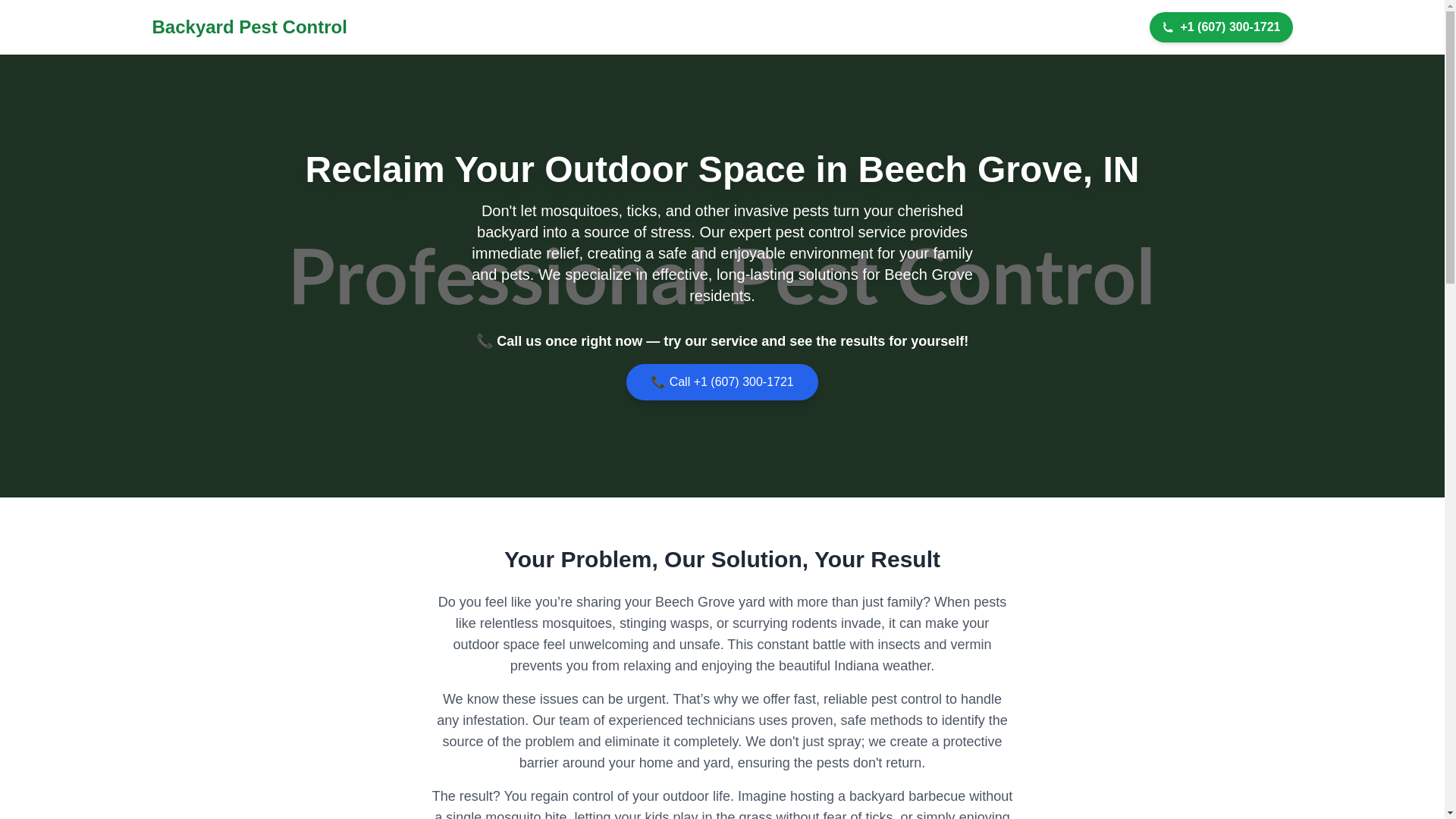 website screenshot of https://spider-mite-control-beech-grove-in.pages.dev/