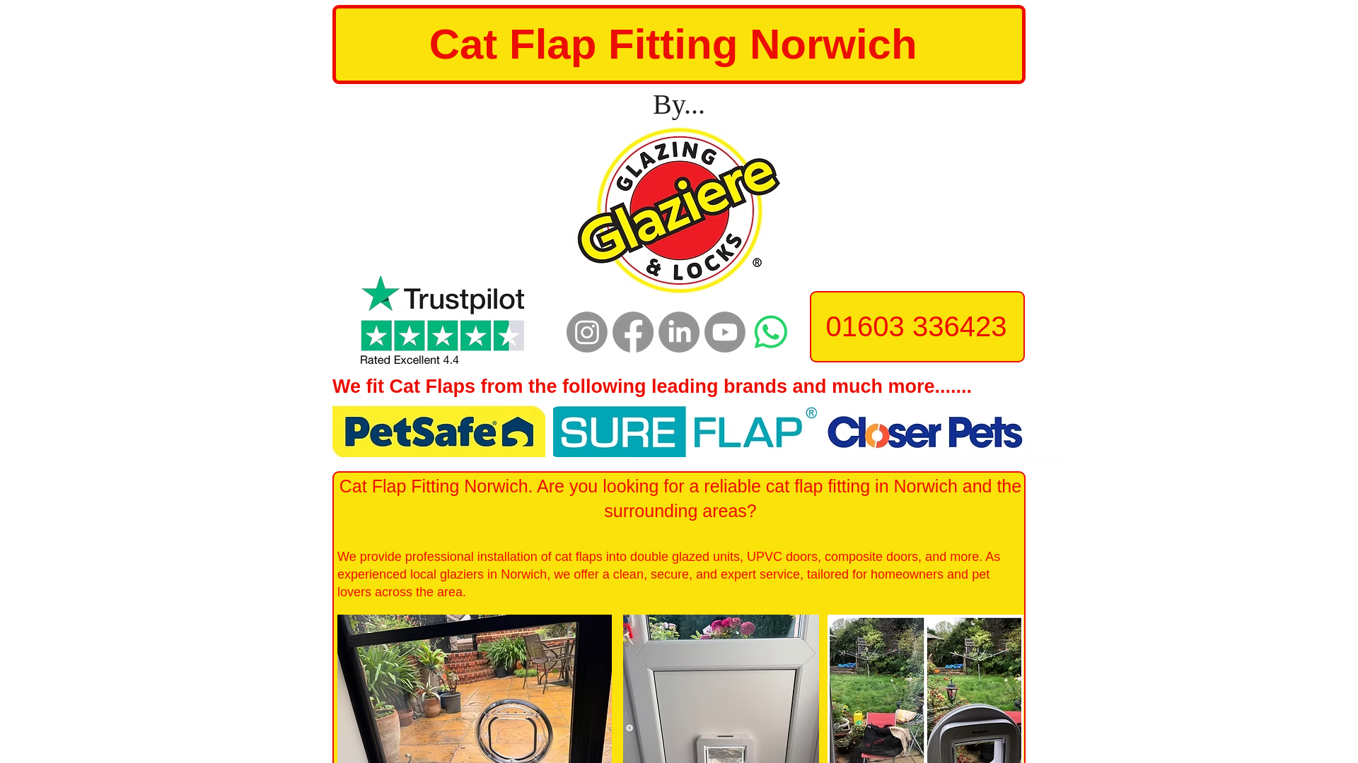 website screenshot of https://catflapfittingnorwich.com/