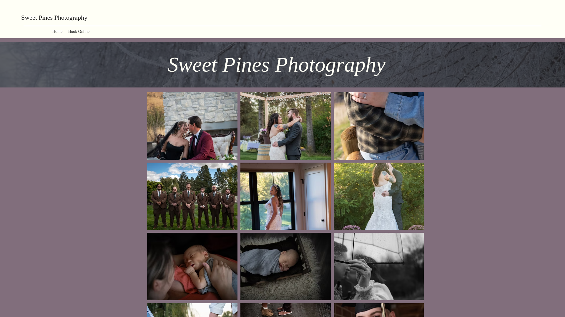 website screenshot of https://sweetpinesphotography89.com