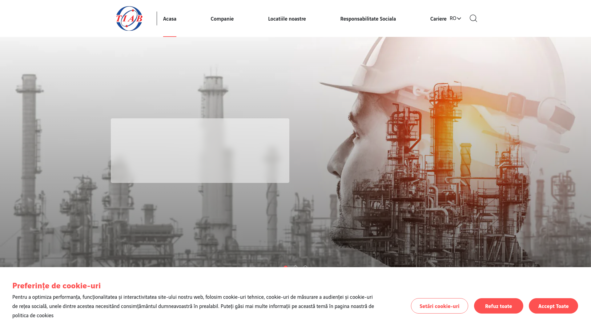 website screenshot of https://tiab.ro/