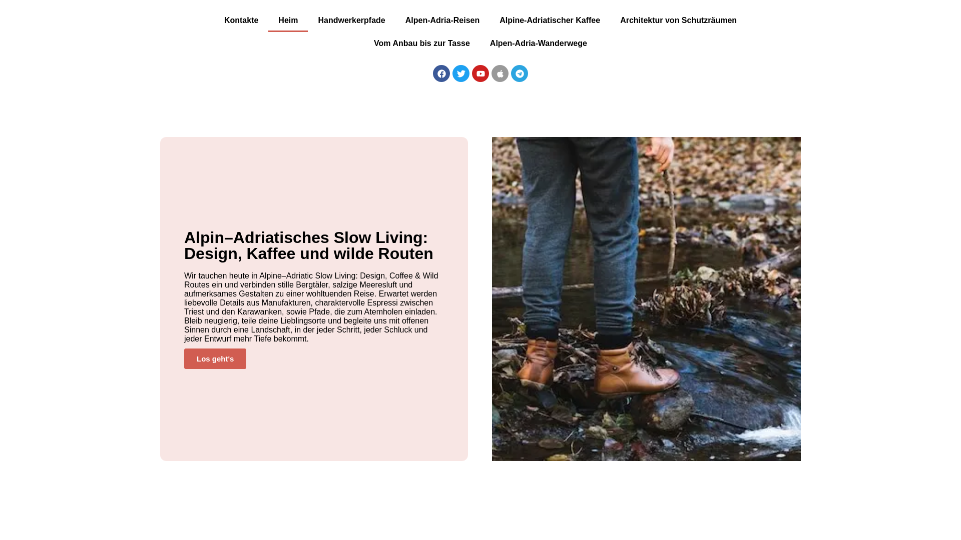 website screenshot of https://zavotelisiravirodaxi.click