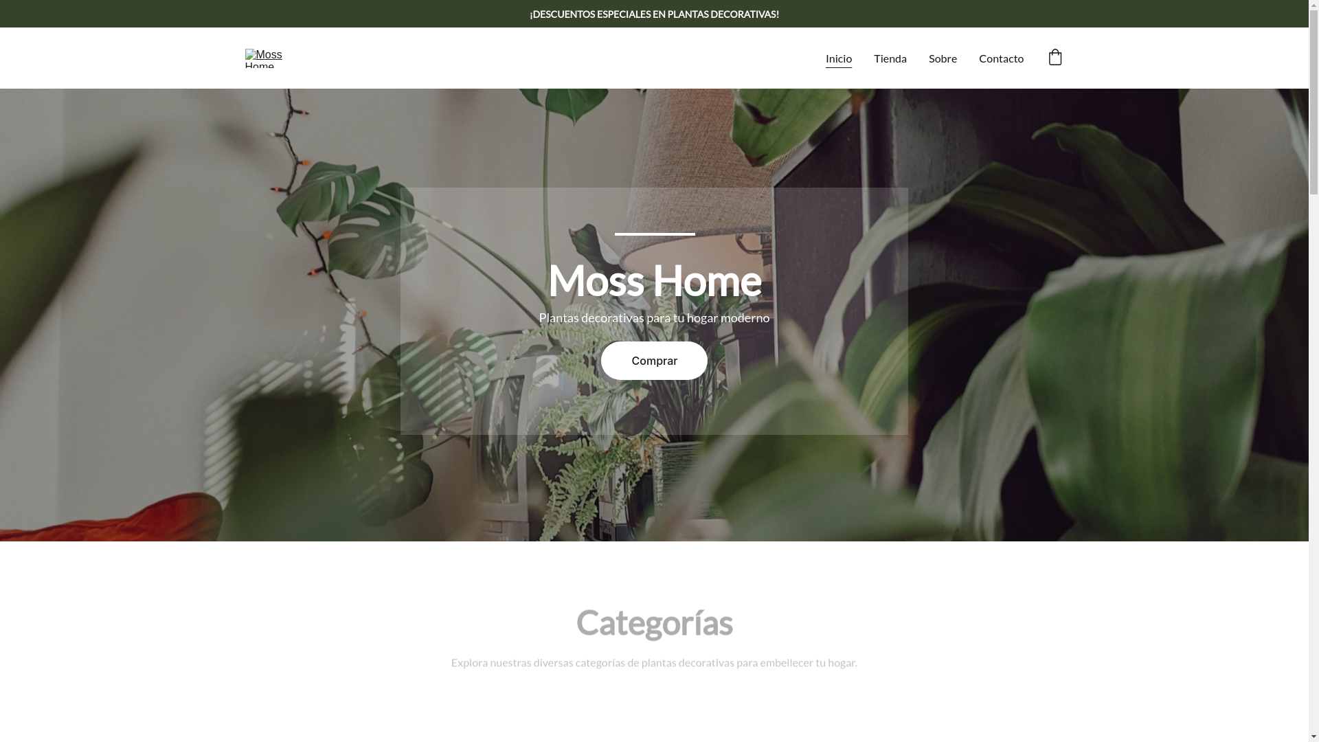website screenshot of https://mossstorespace.online/