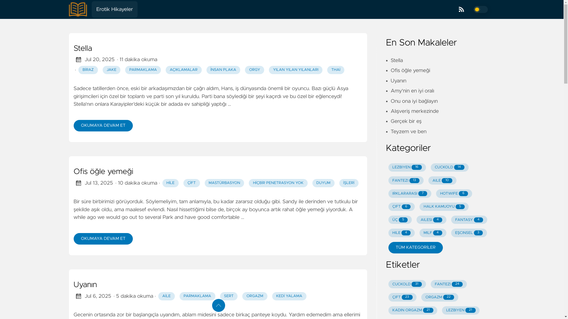 website screenshot of https://erotik-hikayeler.pages.dev/