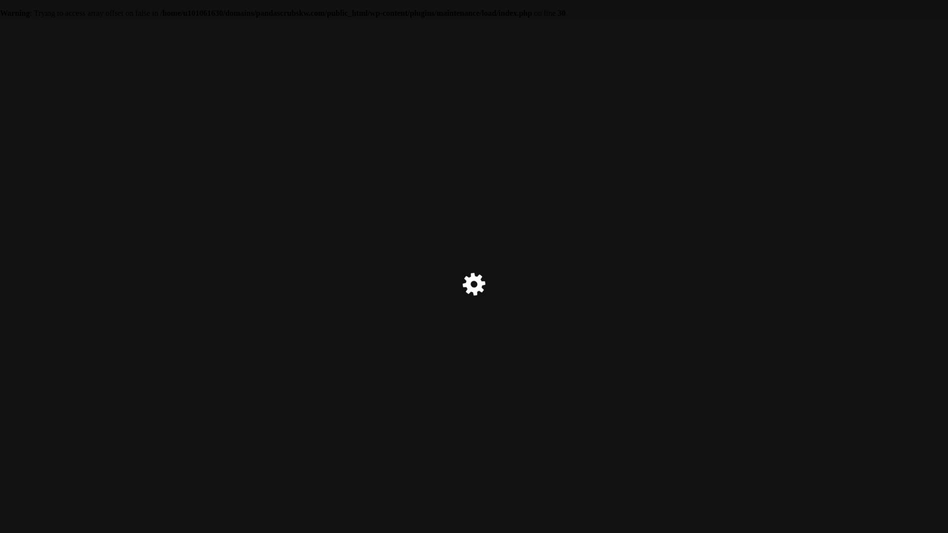 website screenshot of https://pandascrubskw.com/