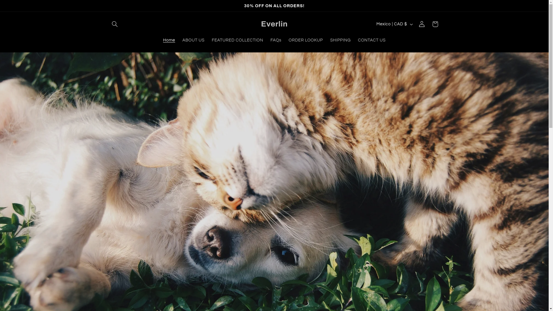 website screenshot of https://everlin.ca/