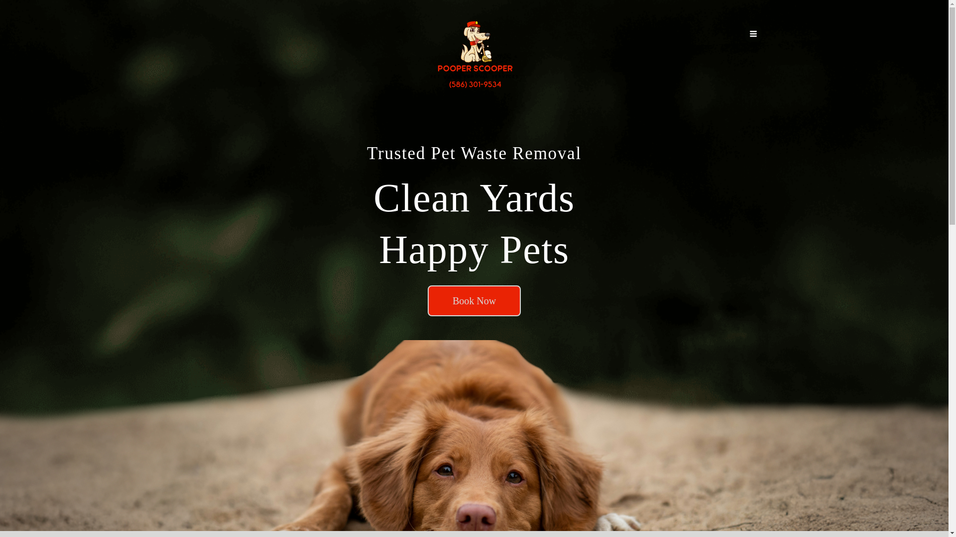 website screenshot of https://pooperscope.com/