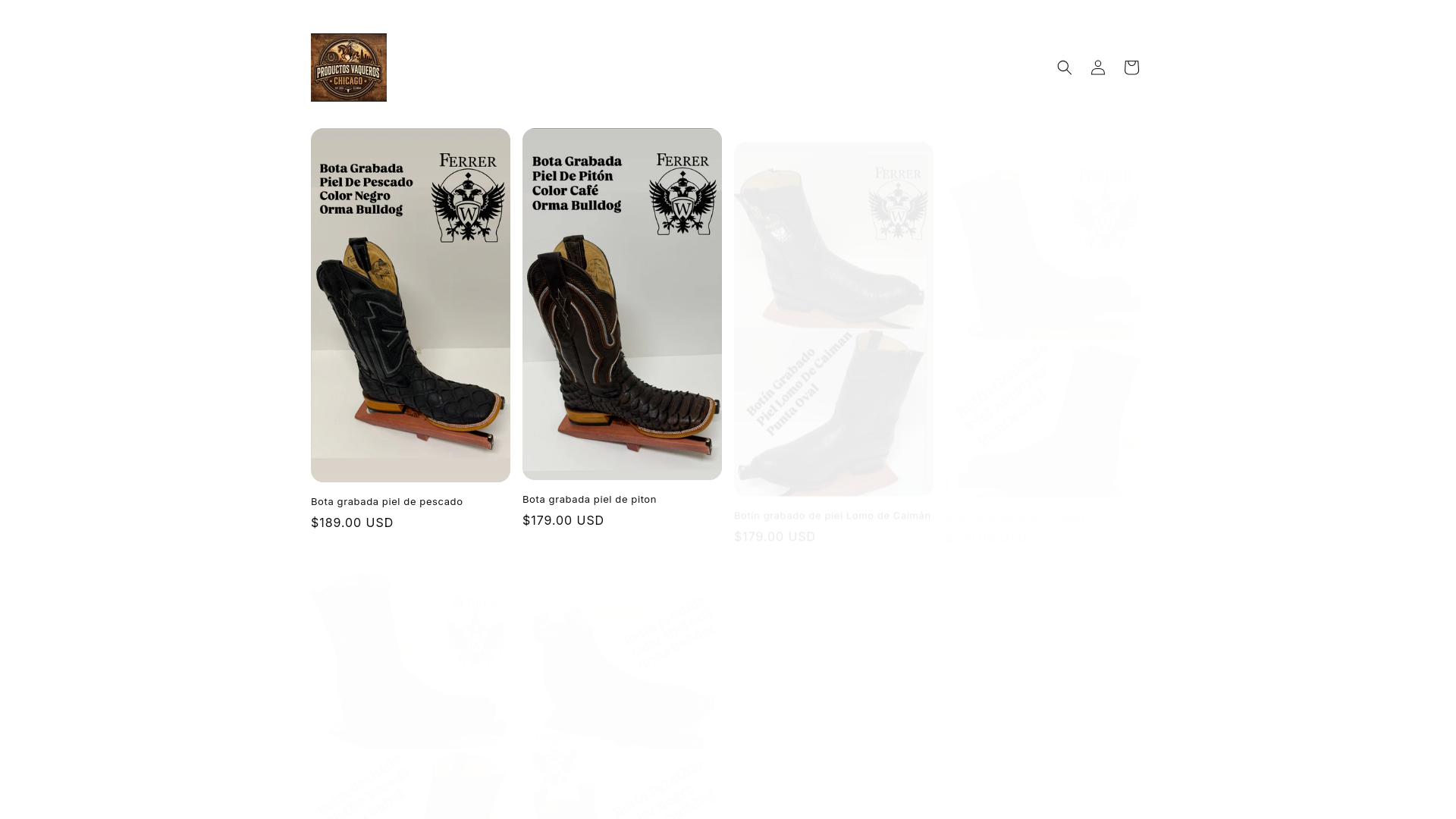 website screenshot of https://productosvaqueroschicago.com