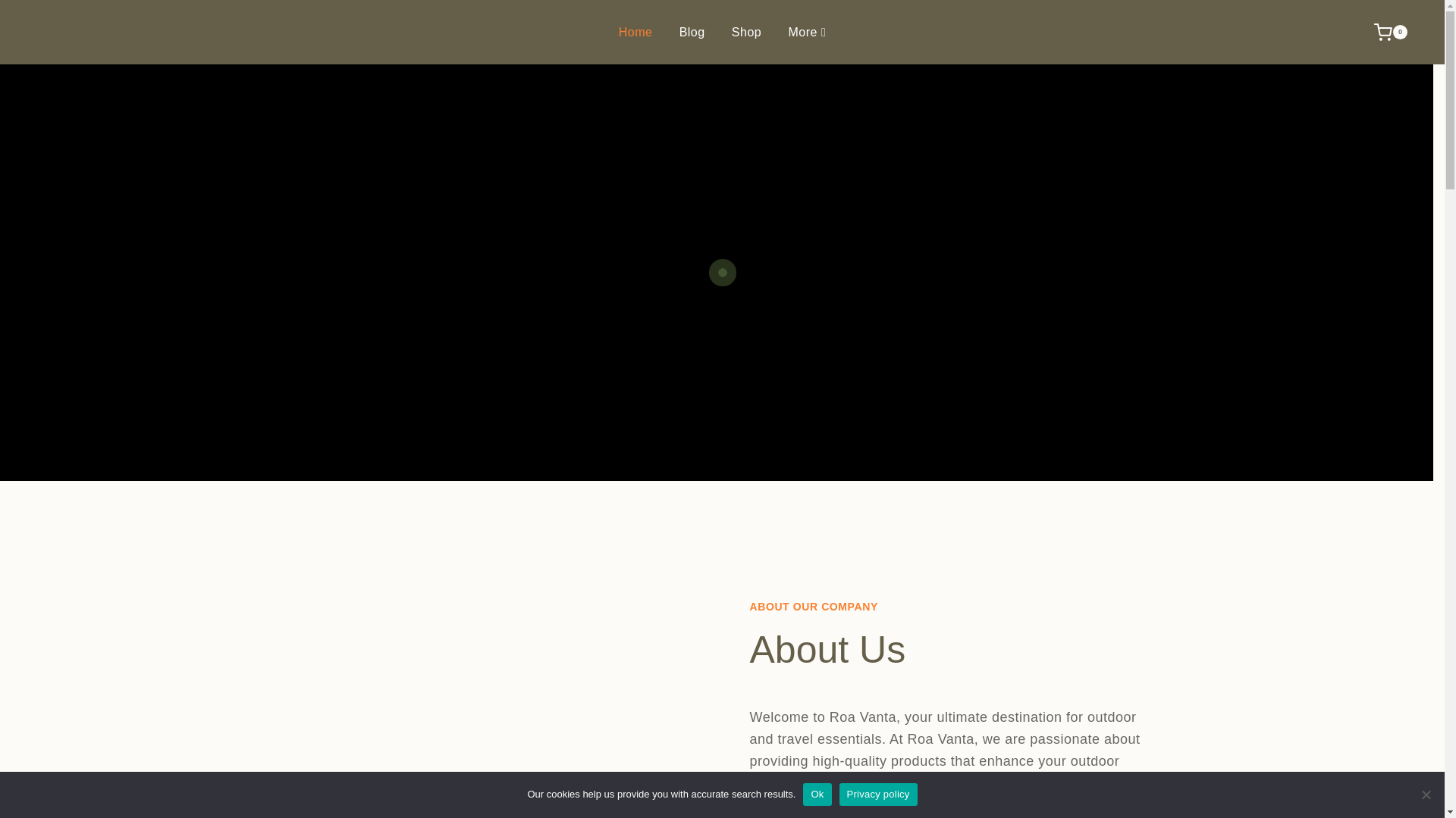 website screenshot of https://roavanta.com/