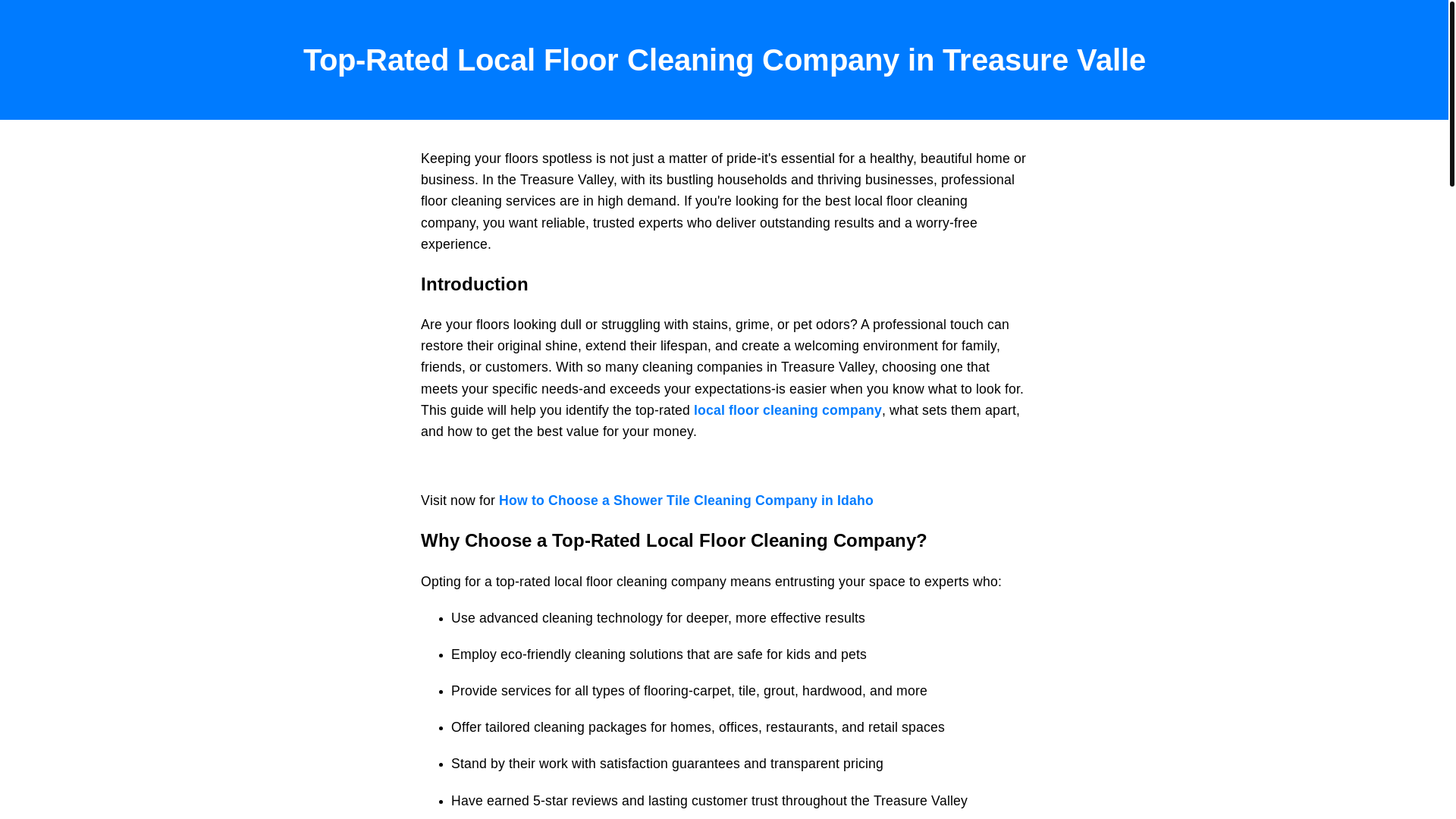 website screenshot of https://floorcleaningcompany.pages.dev/