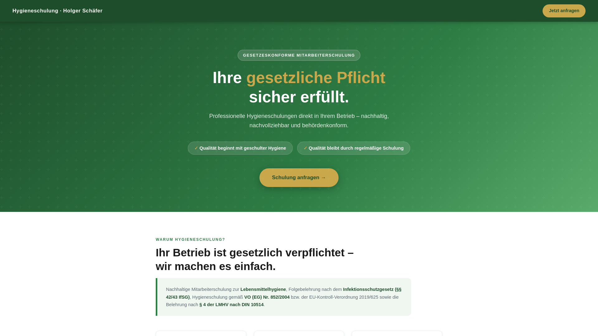 website screenshot of https://holger-schaefer.pages.dev/