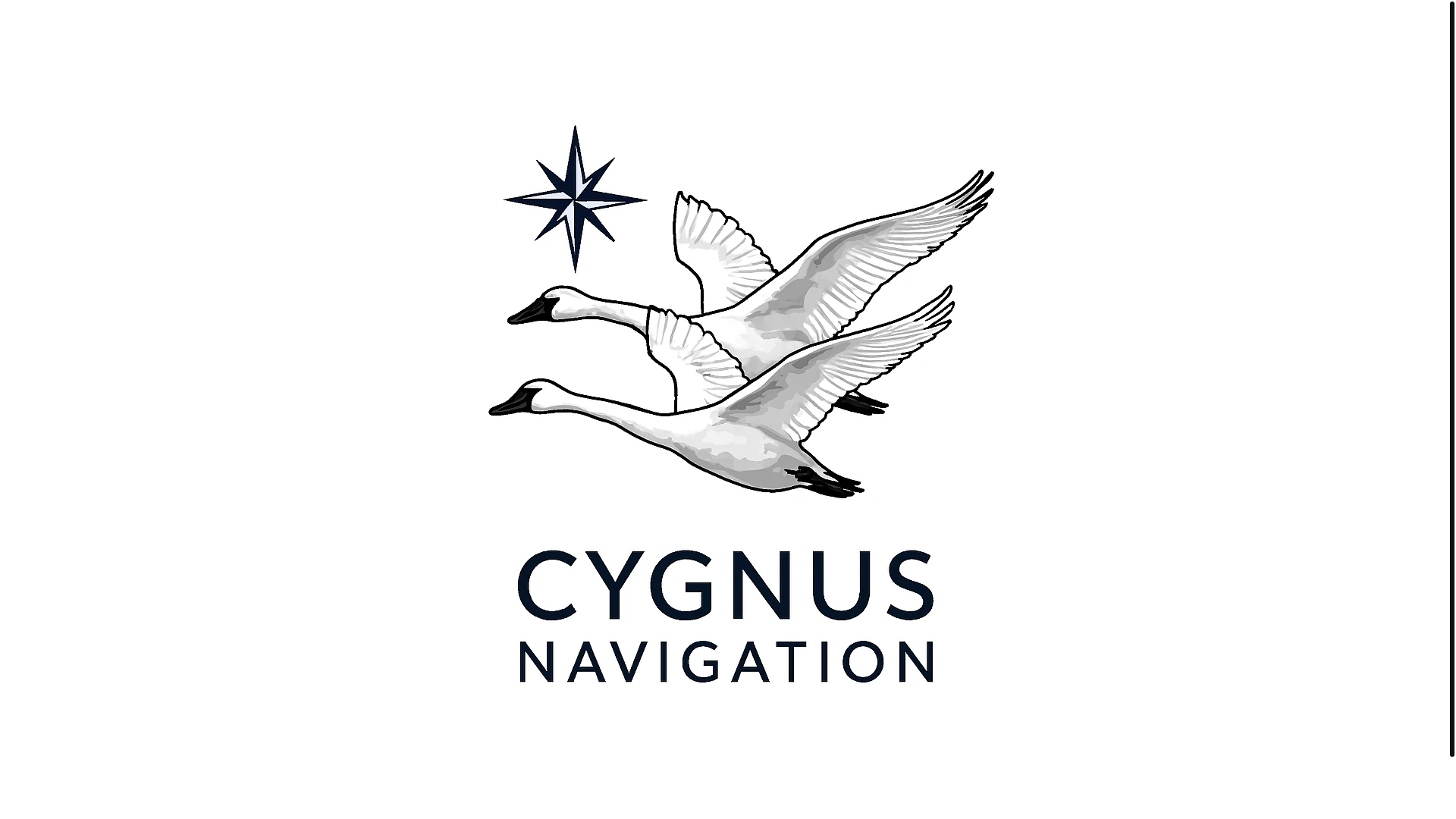 website screenshot of https://cygnusnav.pages.dev/