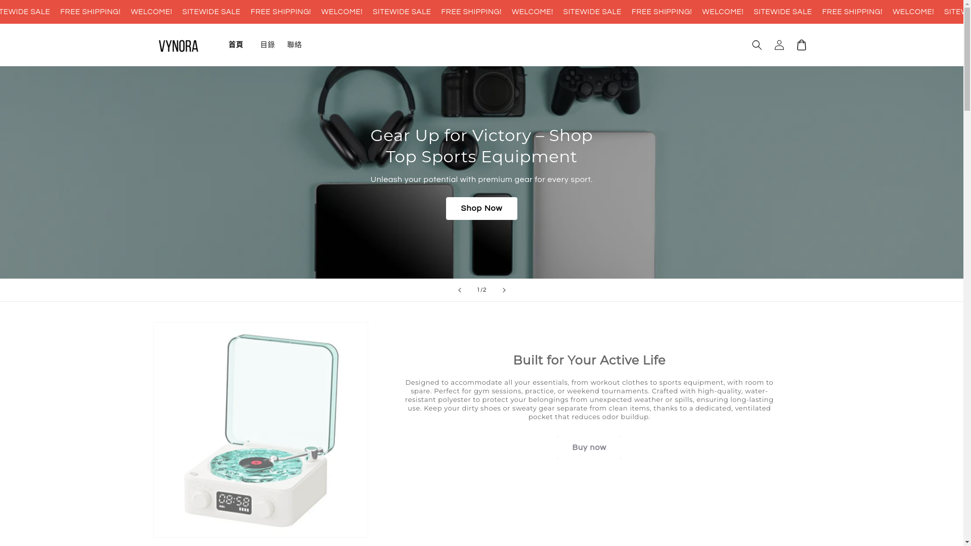 website screenshot of https://vynoraai.com/