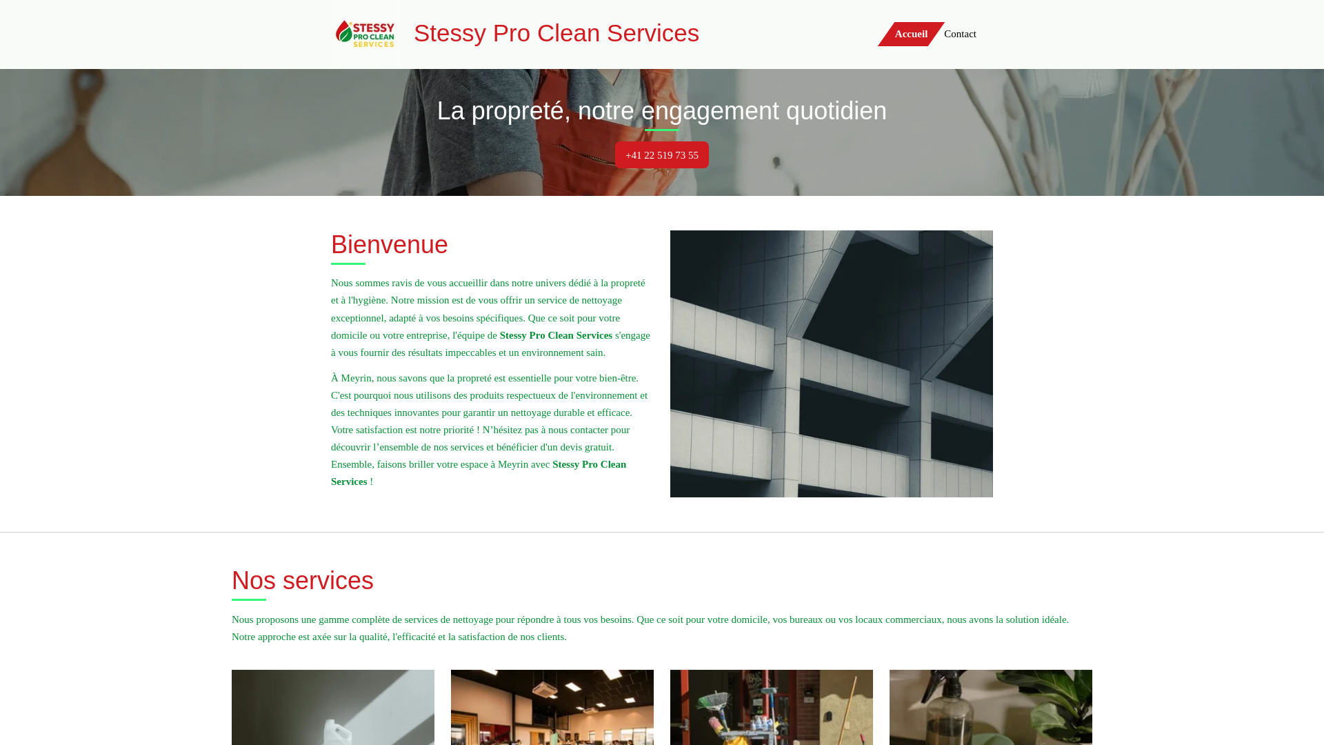 website screenshot of https://stessy-pro-clean-services.ch