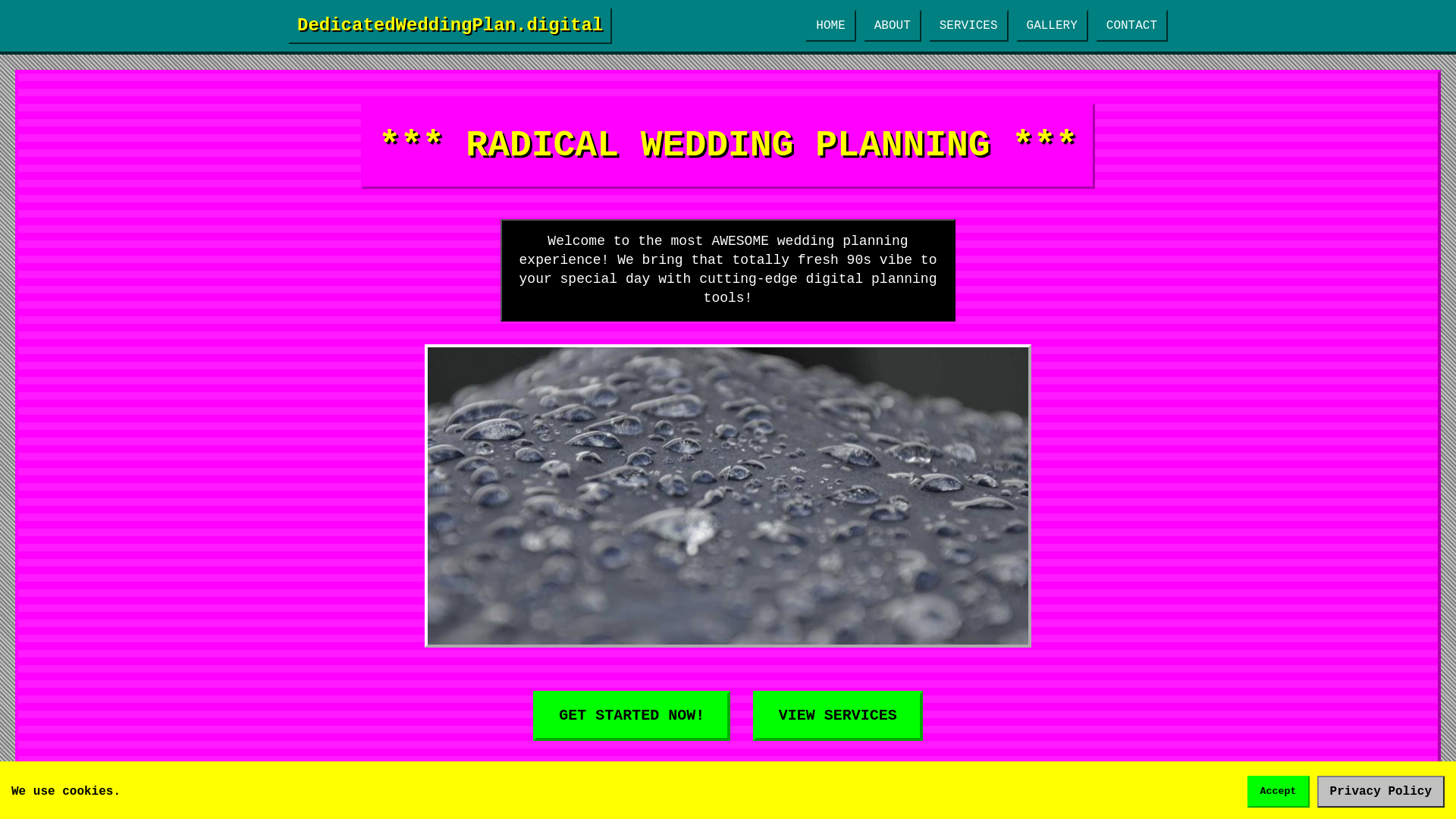 website screenshot of https://dedicatedweddingplan.digital/