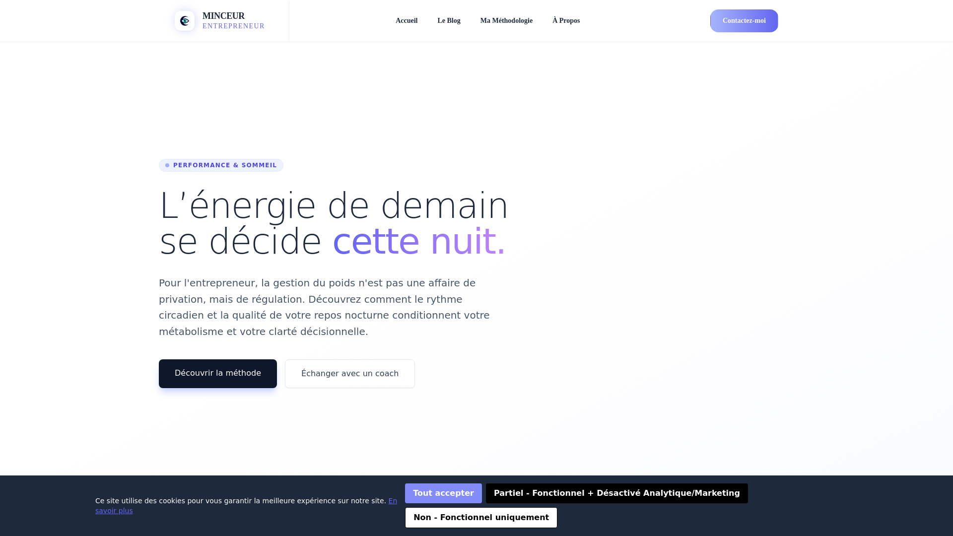 website screenshot of https://minceurentrepreneuri.info/