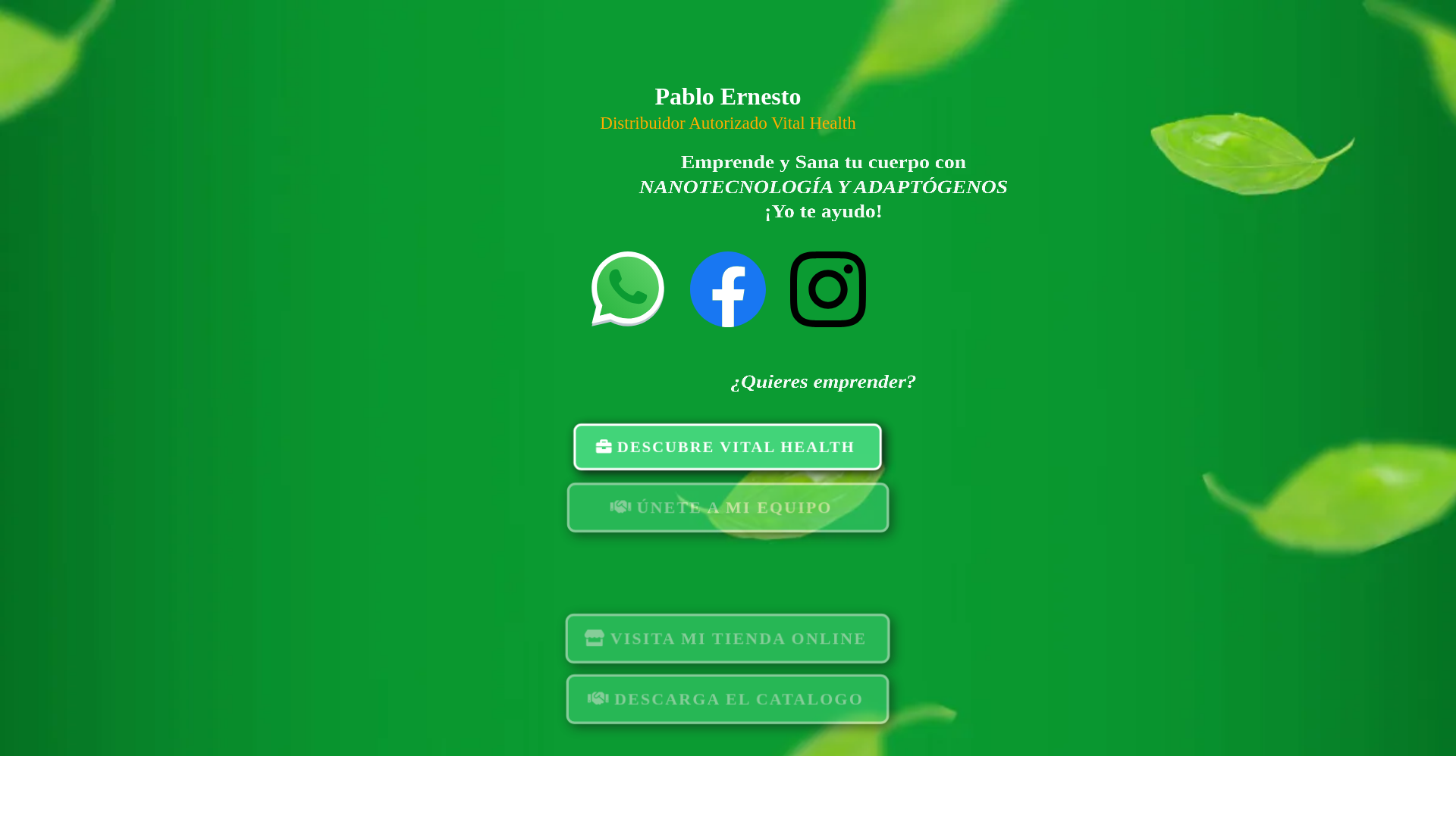 website screenshot of https://pabloyunes.online/