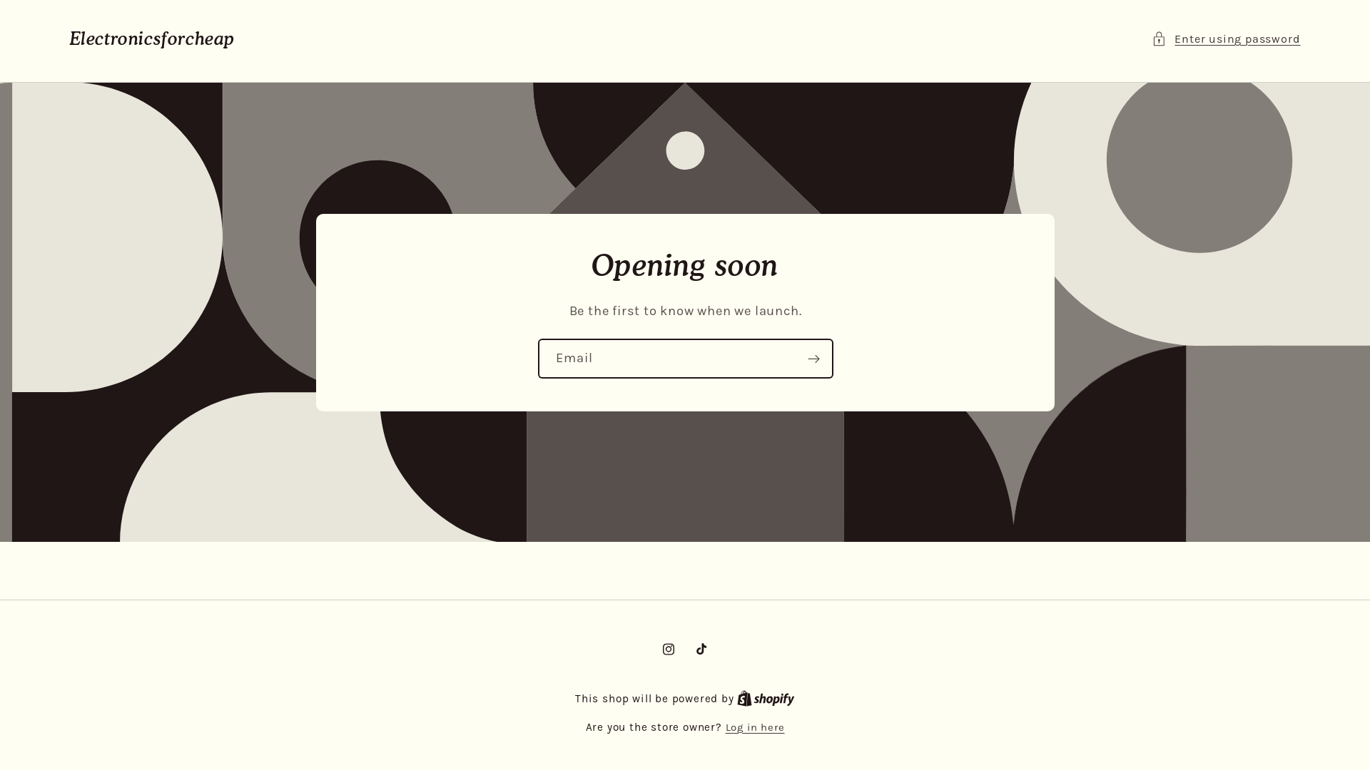 website screenshot of https://electronicforcheap.com/