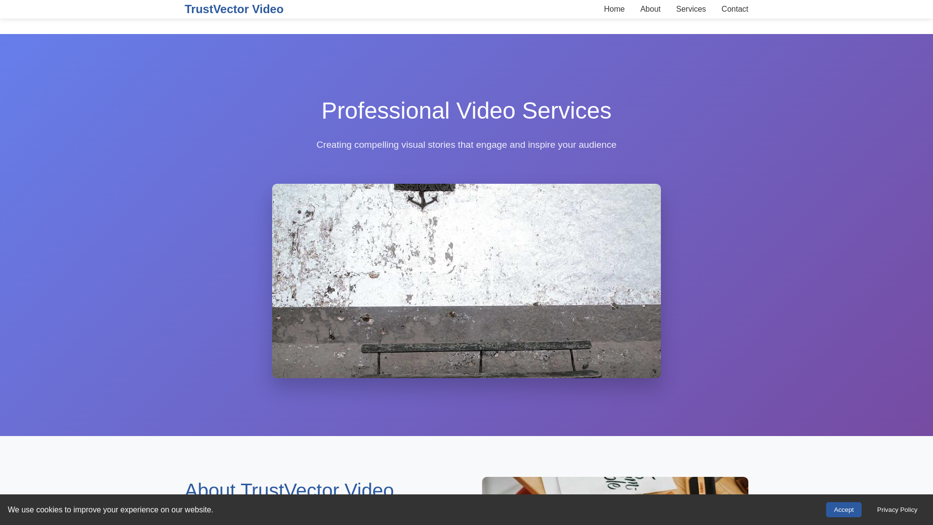 website screenshot of https://trustvectorvideo.click
