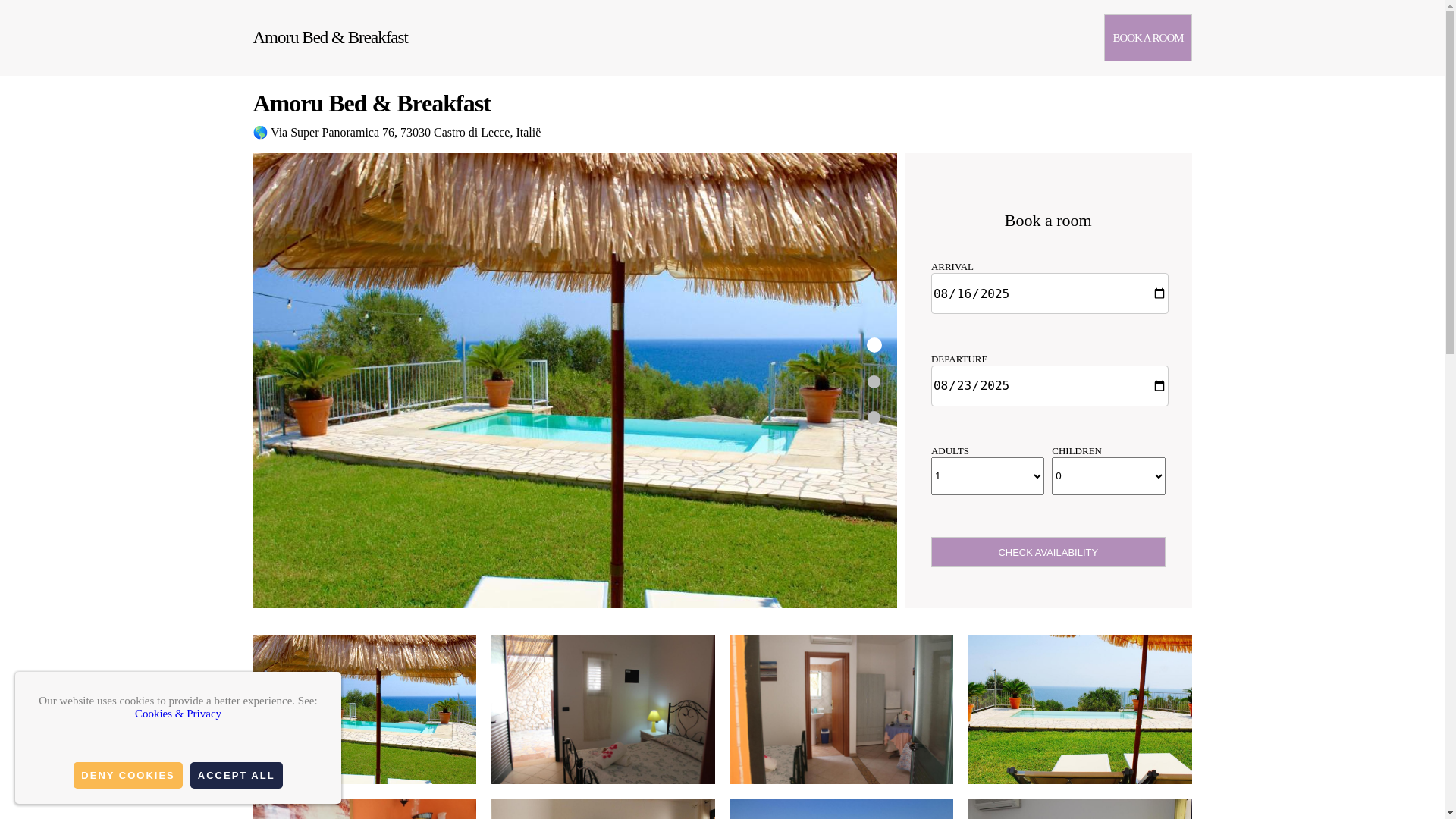 website screenshot of https://casa-de-hu-spedes-amoru.com.es/