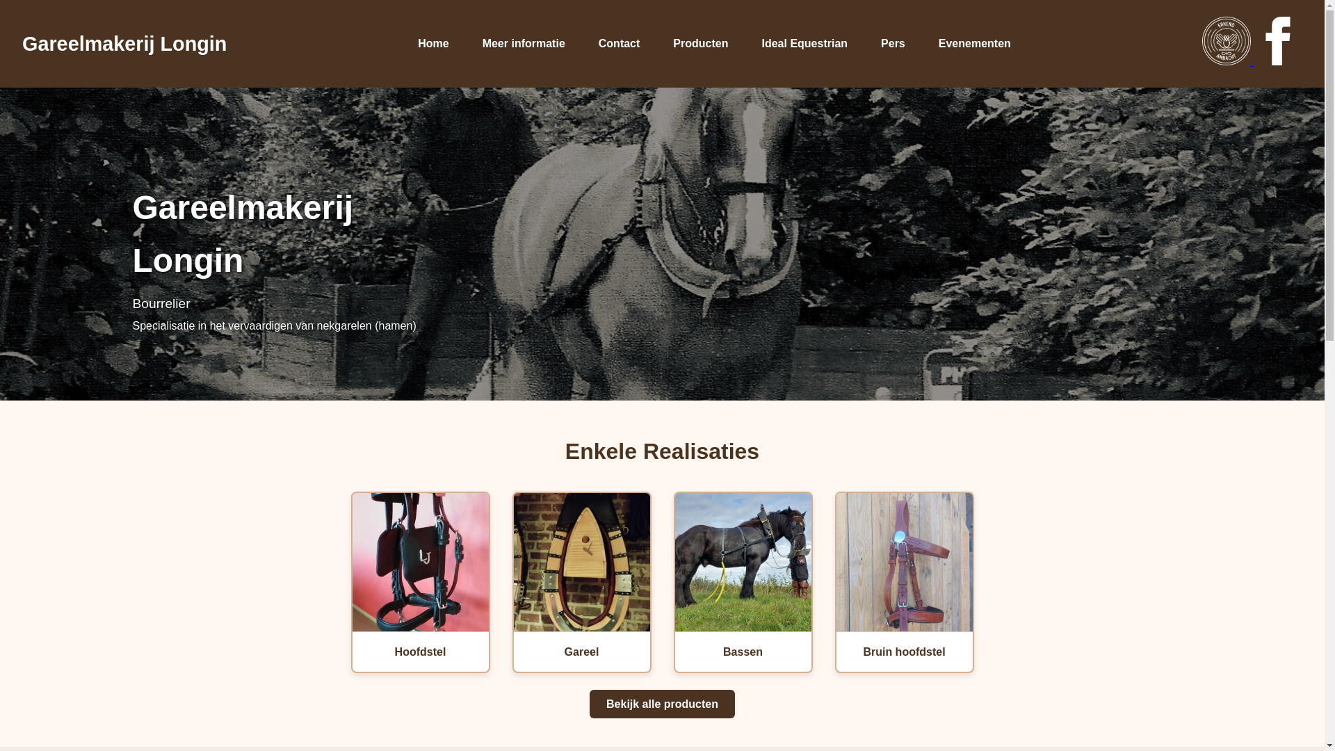 website screenshot of https://gareelmakerijlongin.be/