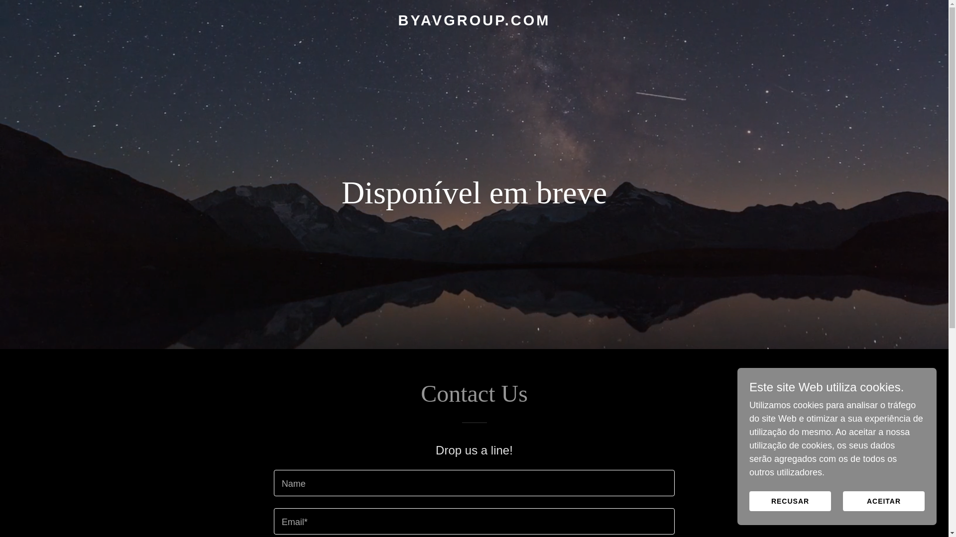 website screenshot of https://byavgroup.com/