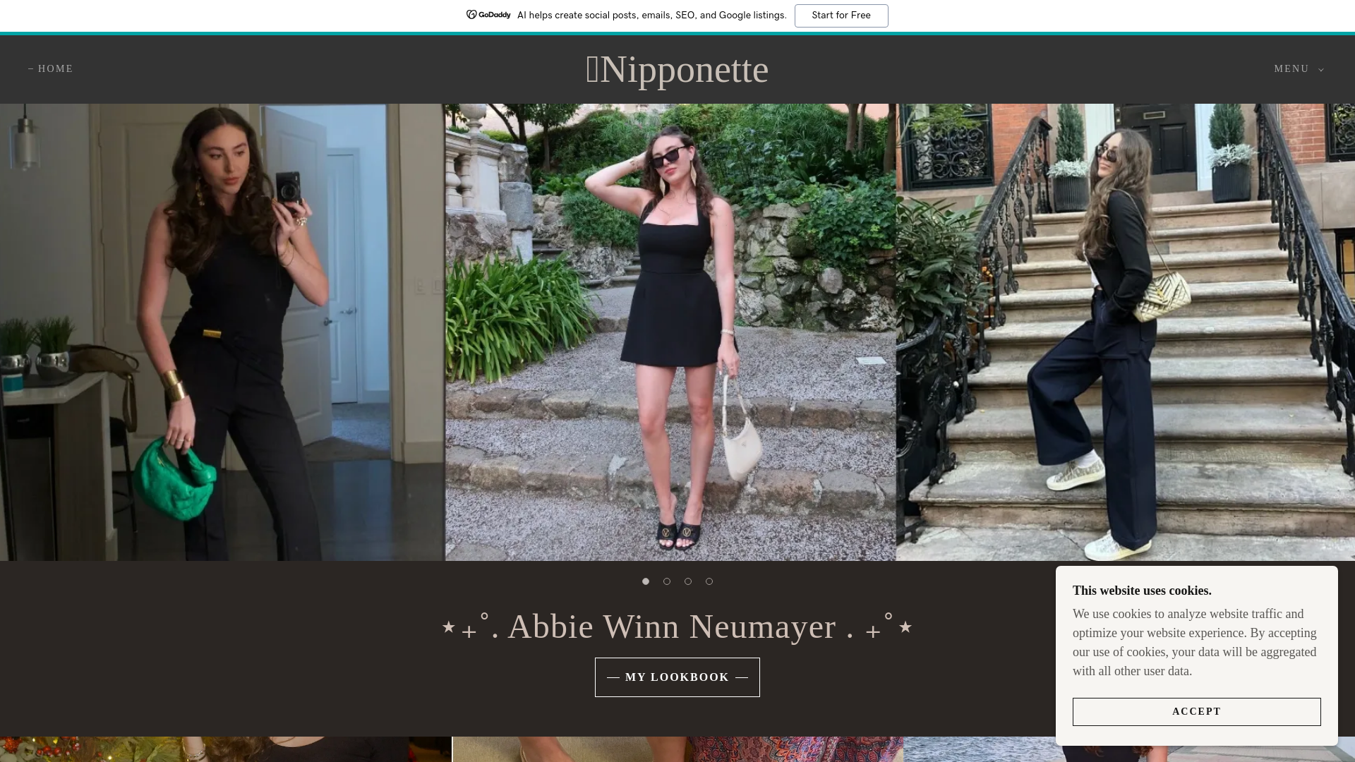 website screenshot of https://nipponette.com/