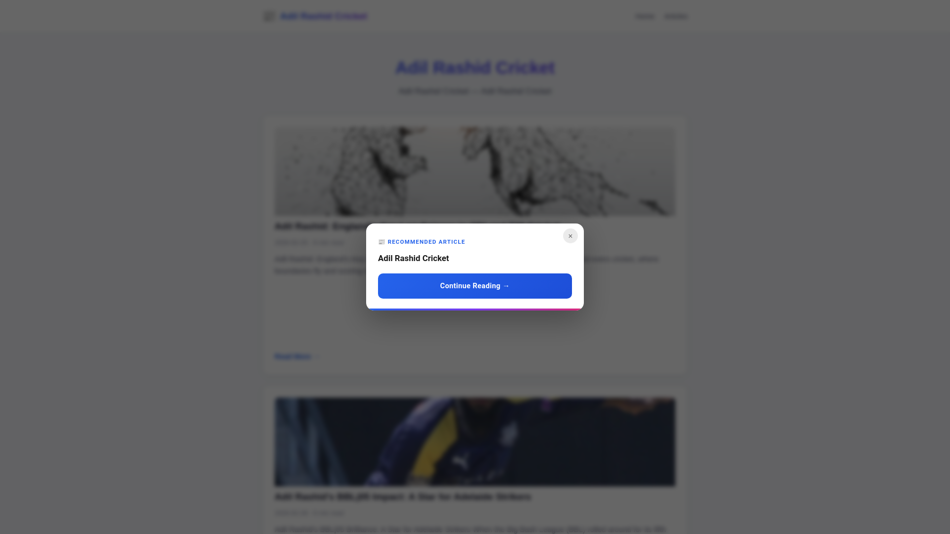 website screenshot of https://adil-rashid-cricket.pages.dev/