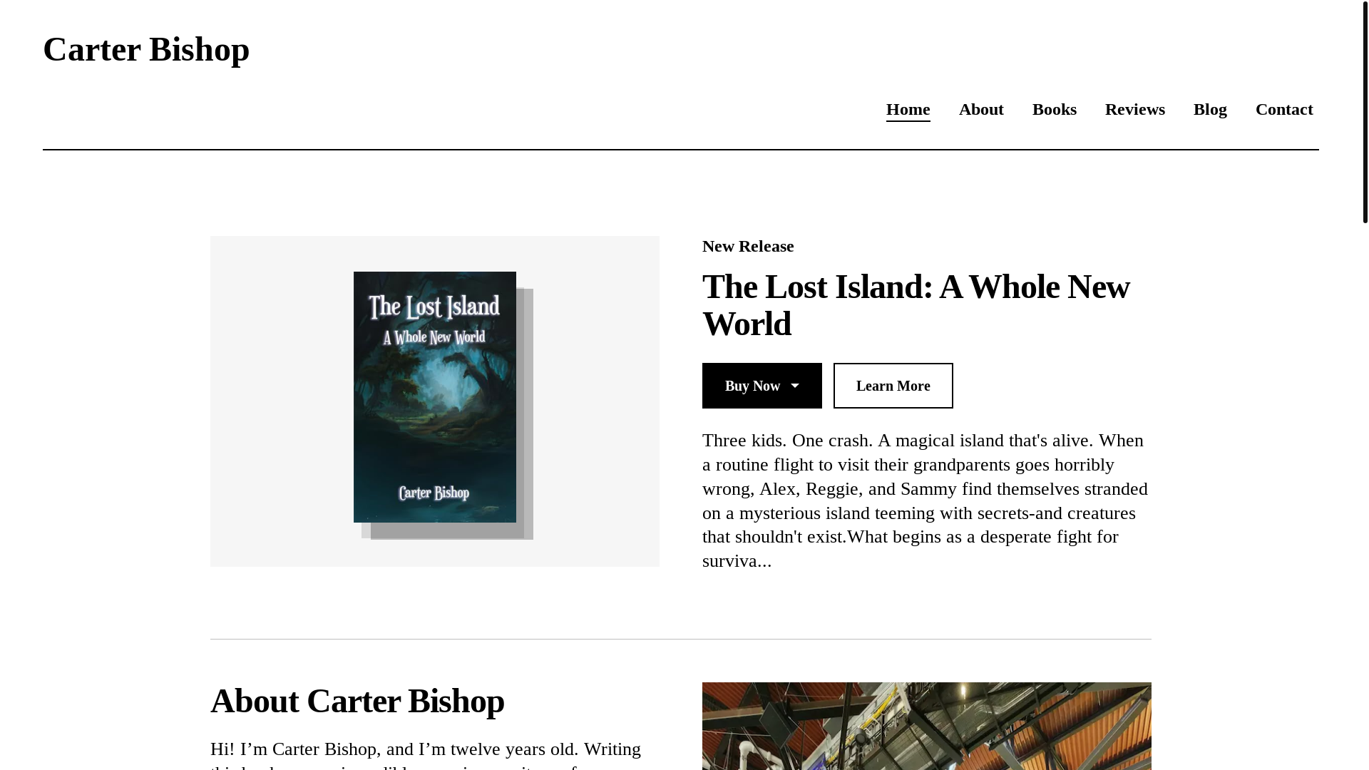 website screenshot of https://thelostislandbooks.com/