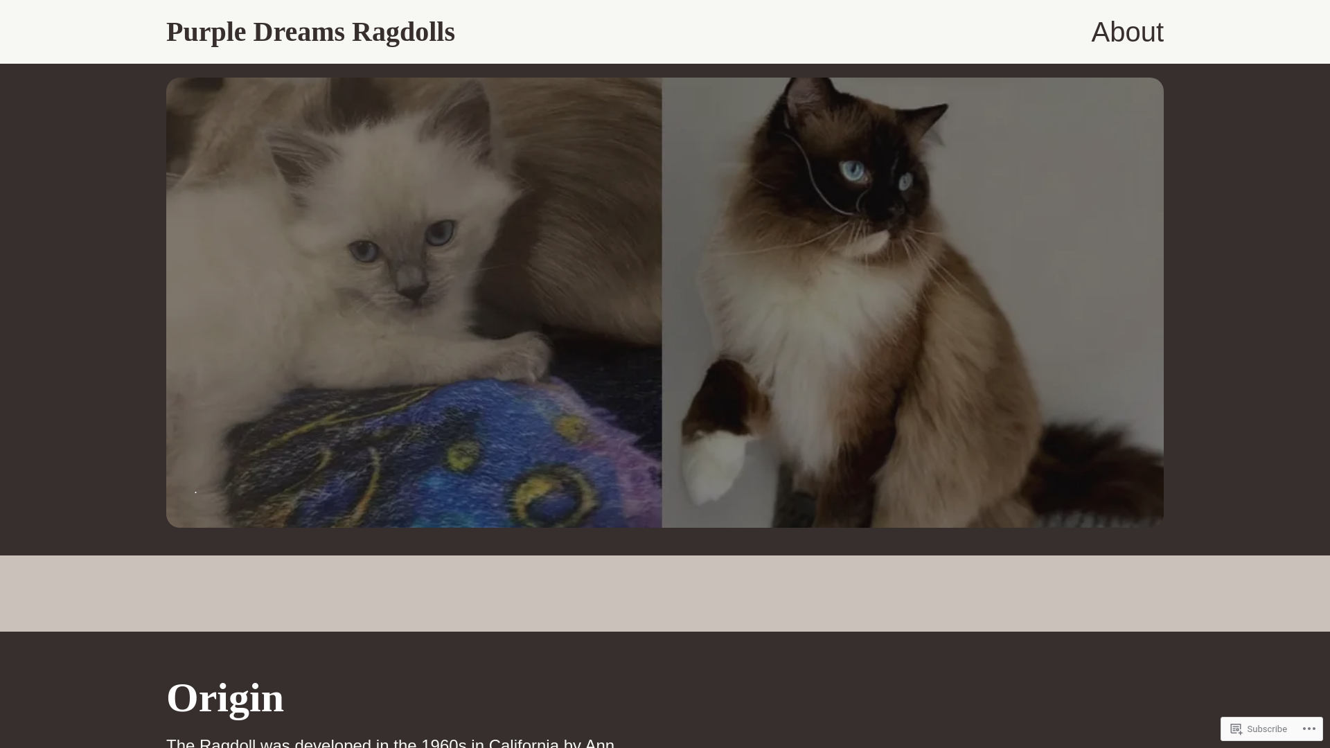 website screenshot of https://purplehawkragdolls.com/