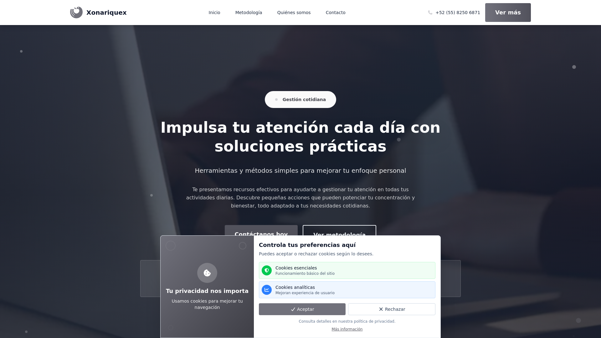 website screenshot of https://xonariquex.com/