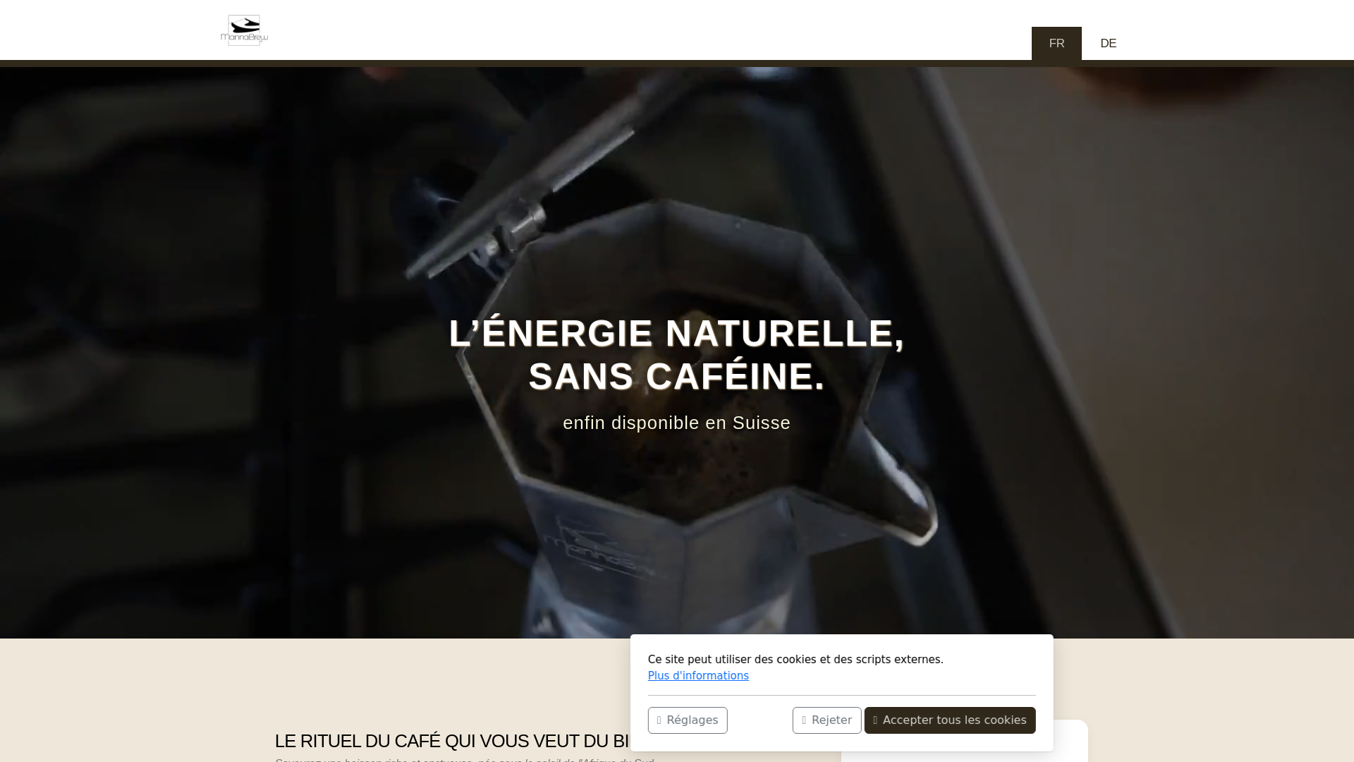 website screenshot of https://mesquite.ch/