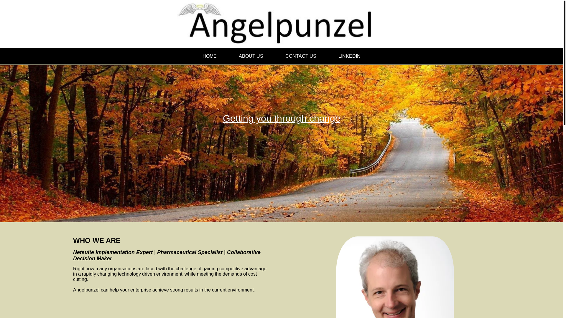 website screenshot of https://angelpunzel.pages.dev/