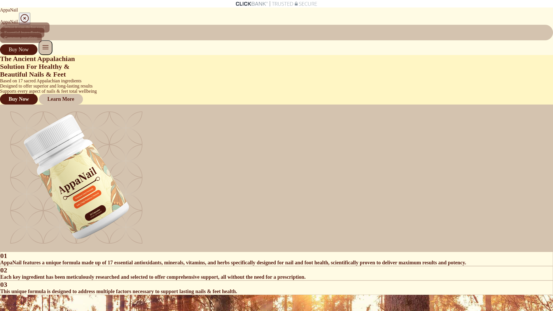 website screenshot of https://apa-cb-14g.pages.dev/