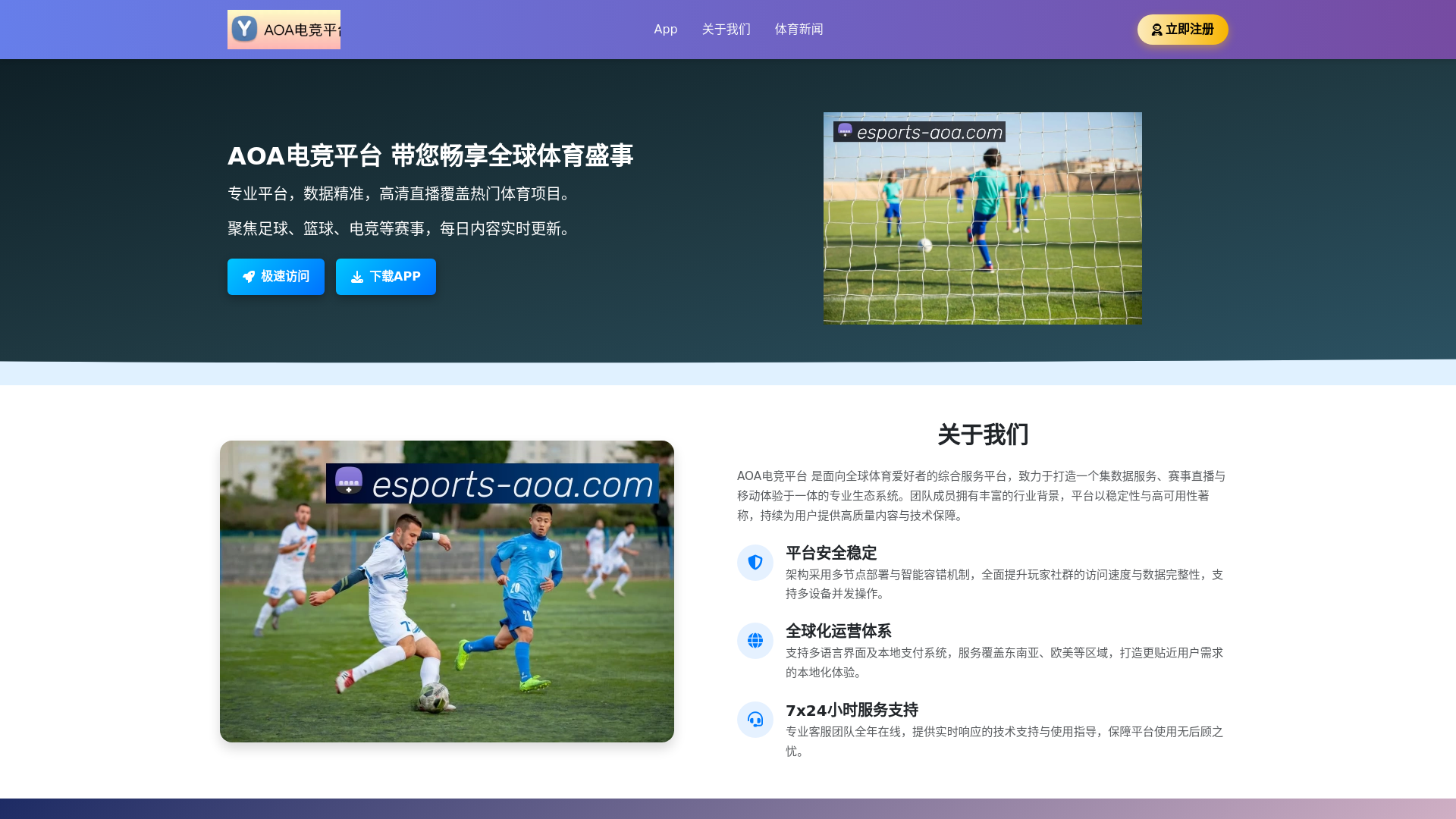 website screenshot of https://esports-aoa.com