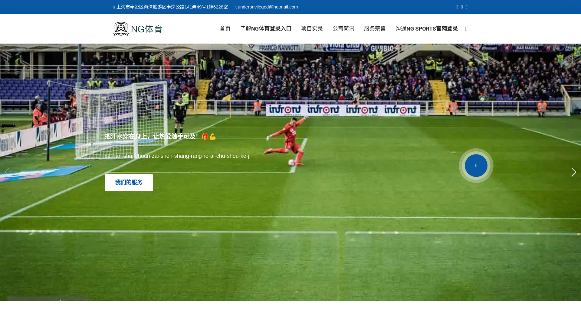 website screenshot of https://pay-ngty.com/