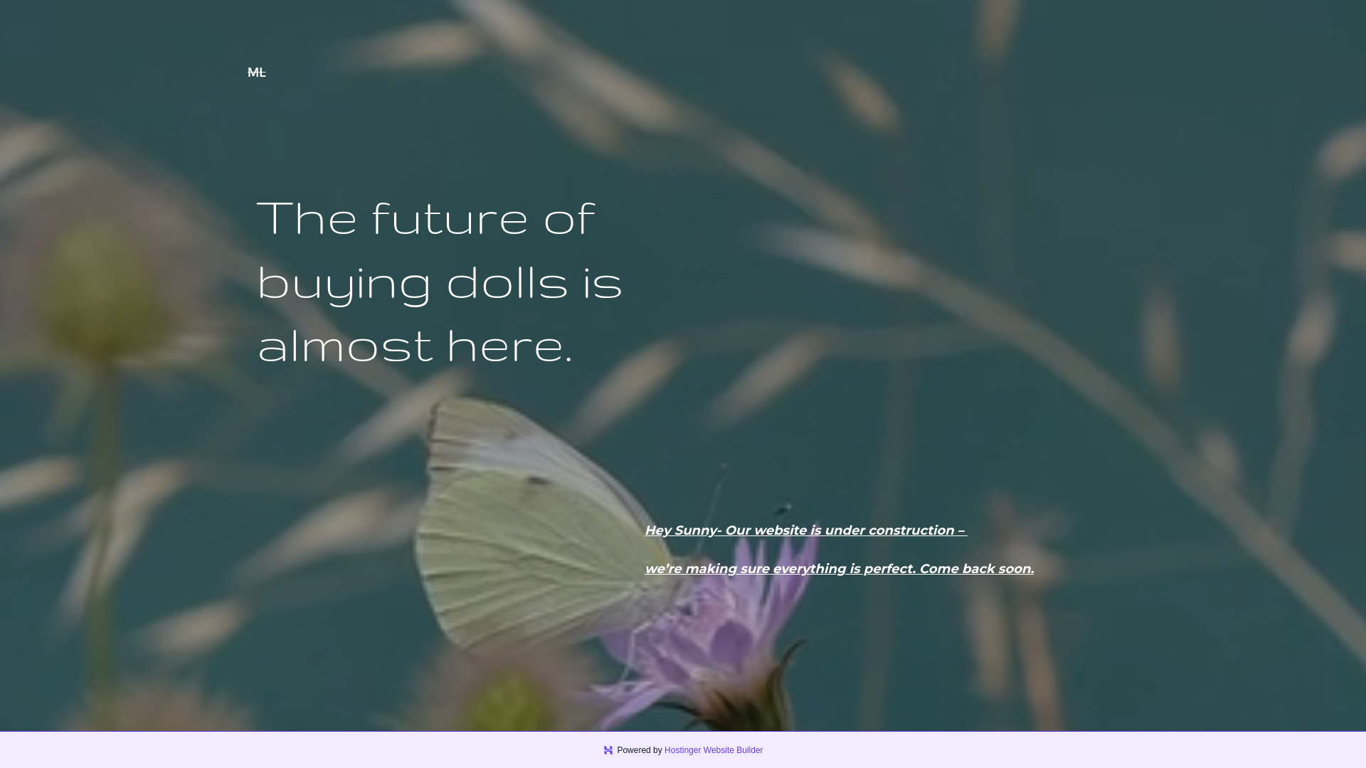 website screenshot of https://monsterlow.cloud