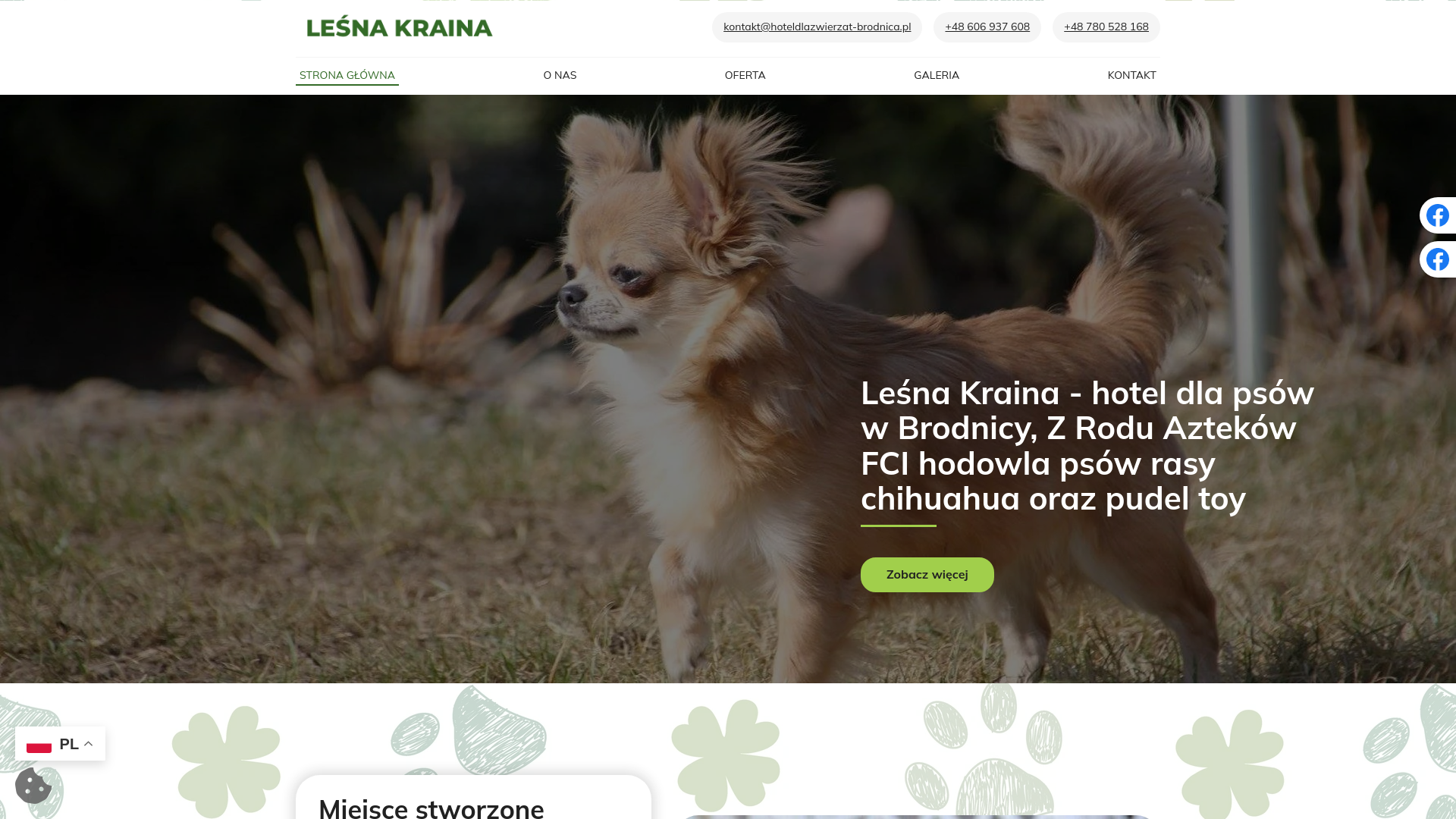 website screenshot of https://hoteldlazwierzat-brodnica.pl