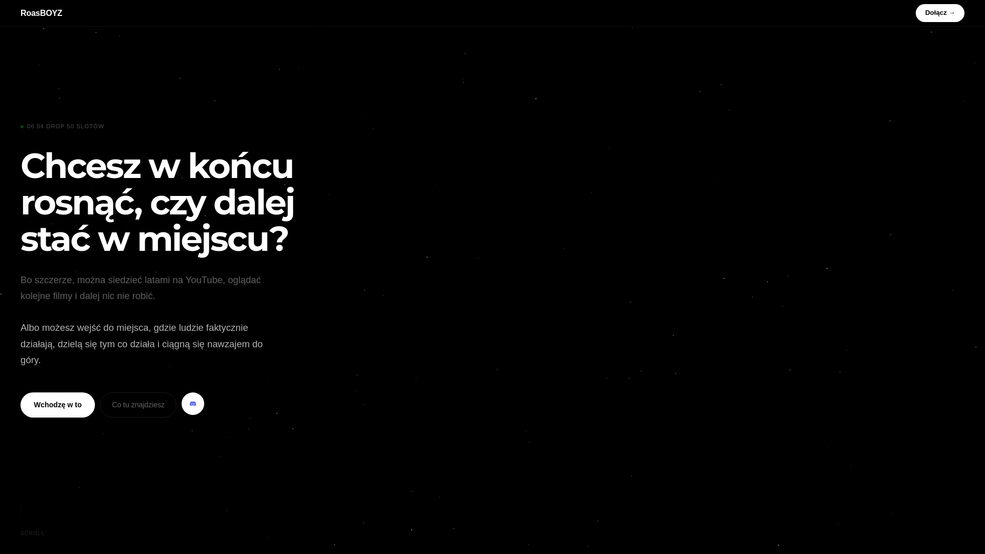 website screenshot of https://roasboyz.pl/