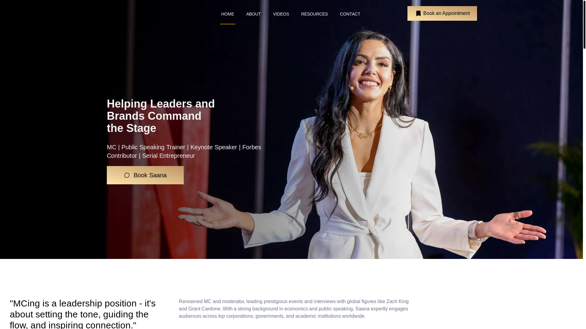 website screenshot of https://saana-v2.pages.dev/